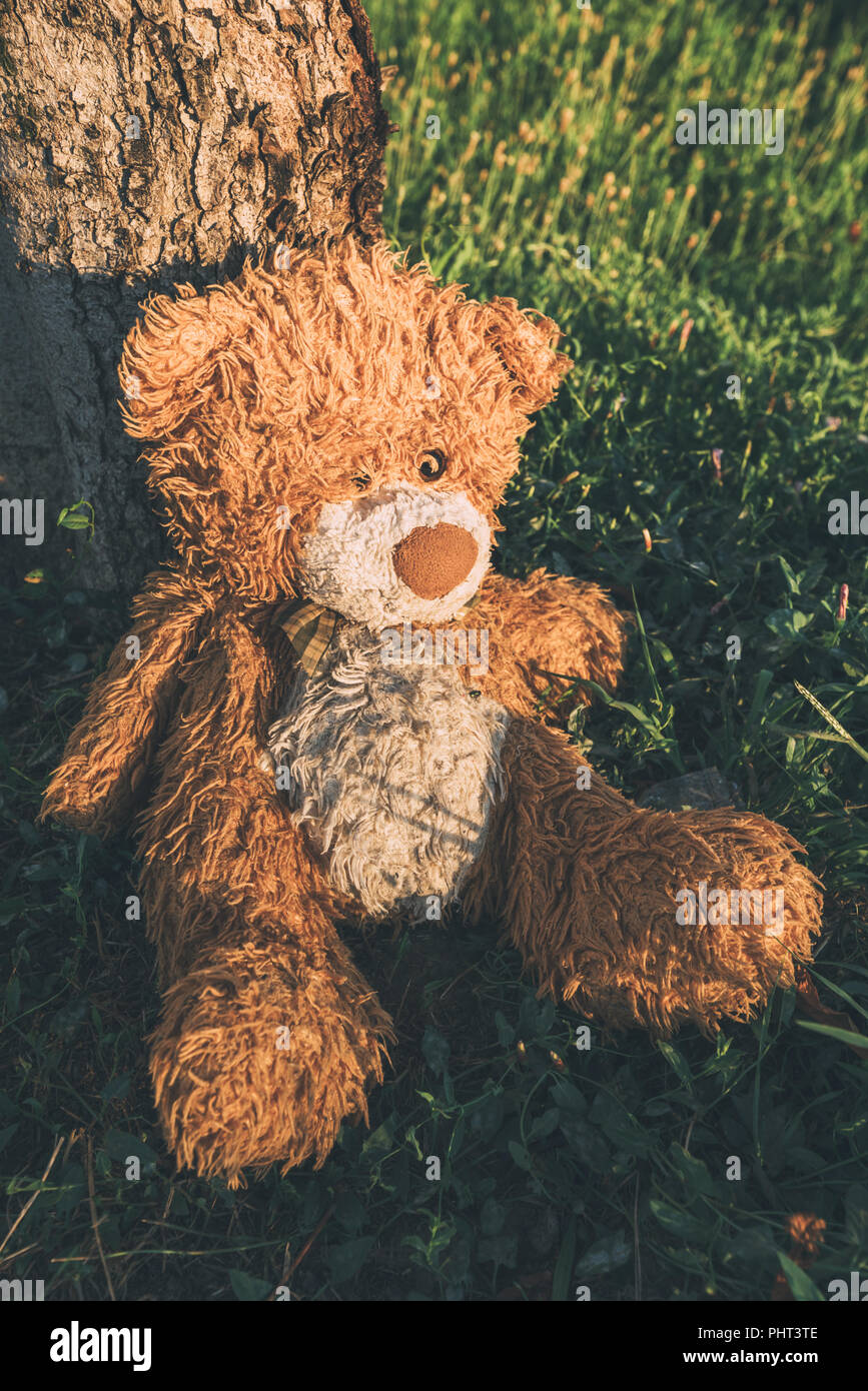 Miserable abandoned teddy bear outdoors leaning on to tree Stock Photo