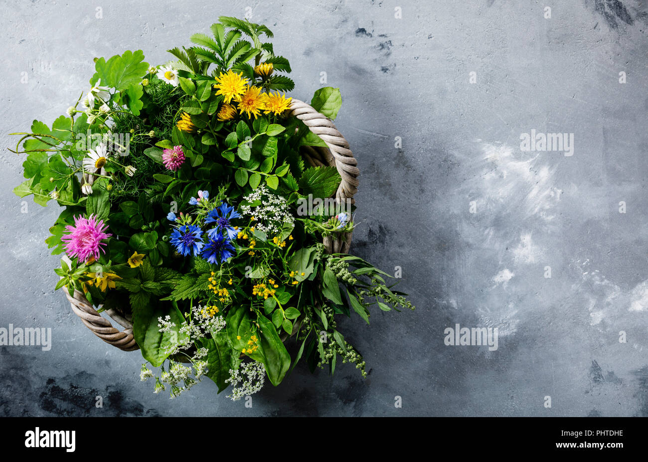 Meadow medicinal herbs clean hi-res stock photography and images - Alamy