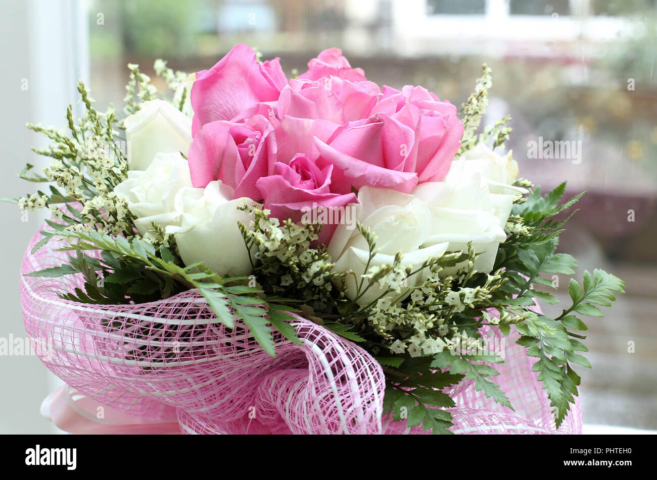 Pink and white roses isolated hires stock photography and images Alamy — free download