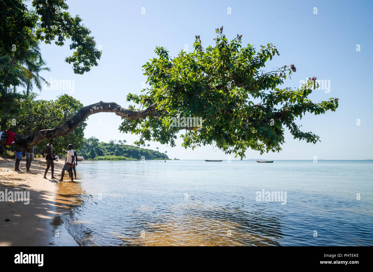 Bubaque, Guinea Bissau - December 07, 2013: Beautiful landscape of tree growing over ocean at beach of Bijagos island Bubaque, Guinea Bissau, West Afr Stock Photo
