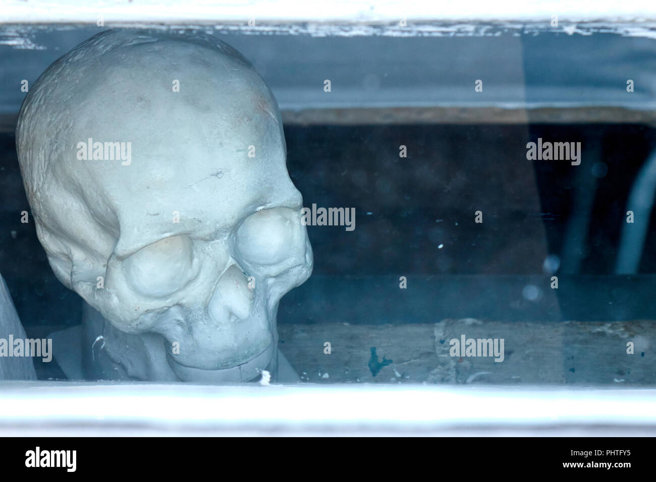 Human skull made of gypsum for educational purposes behind glass art and medical school anatomy model Stock Photo