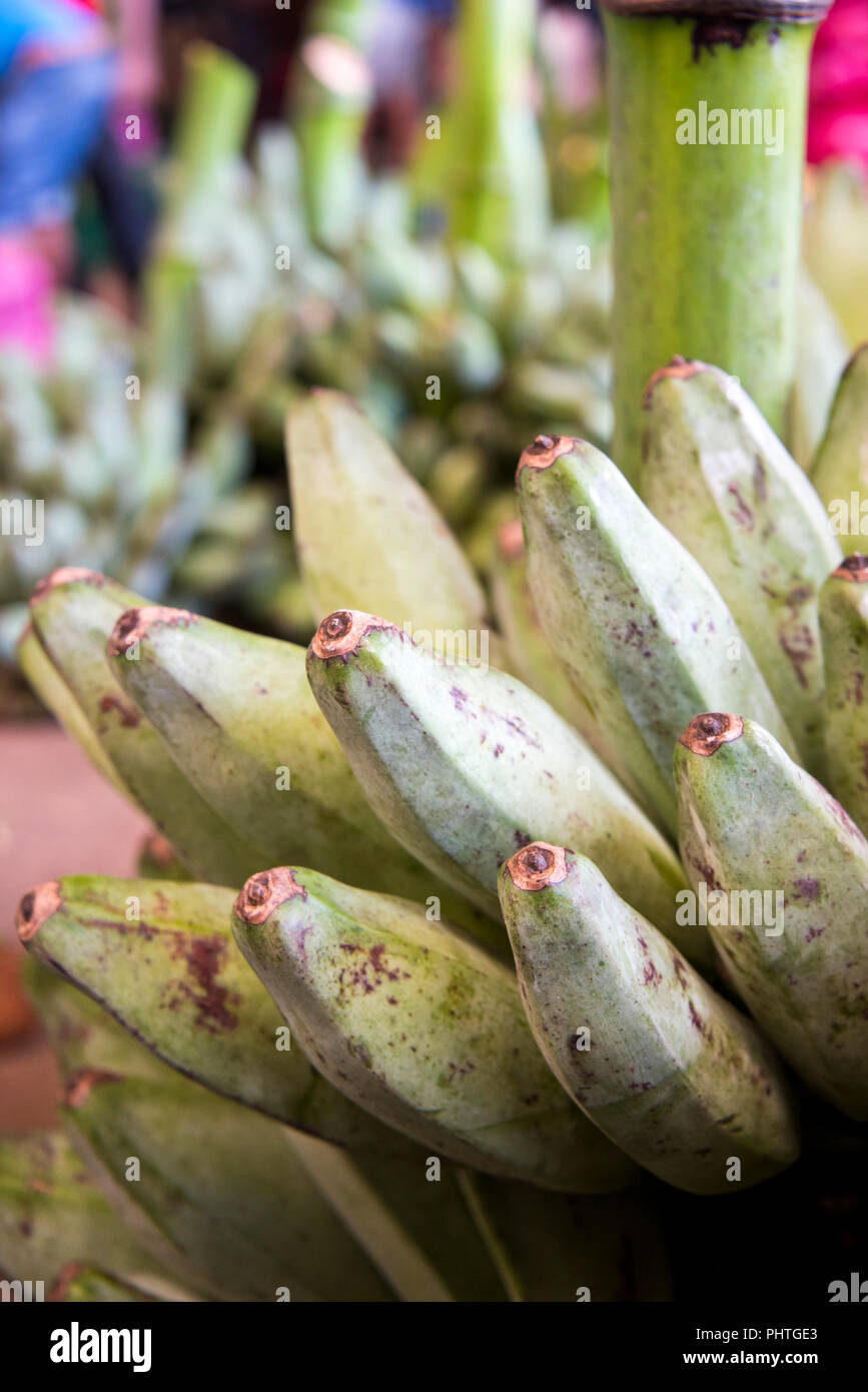 Vertical close up of plantain in Sri Lanka. Stock Photo