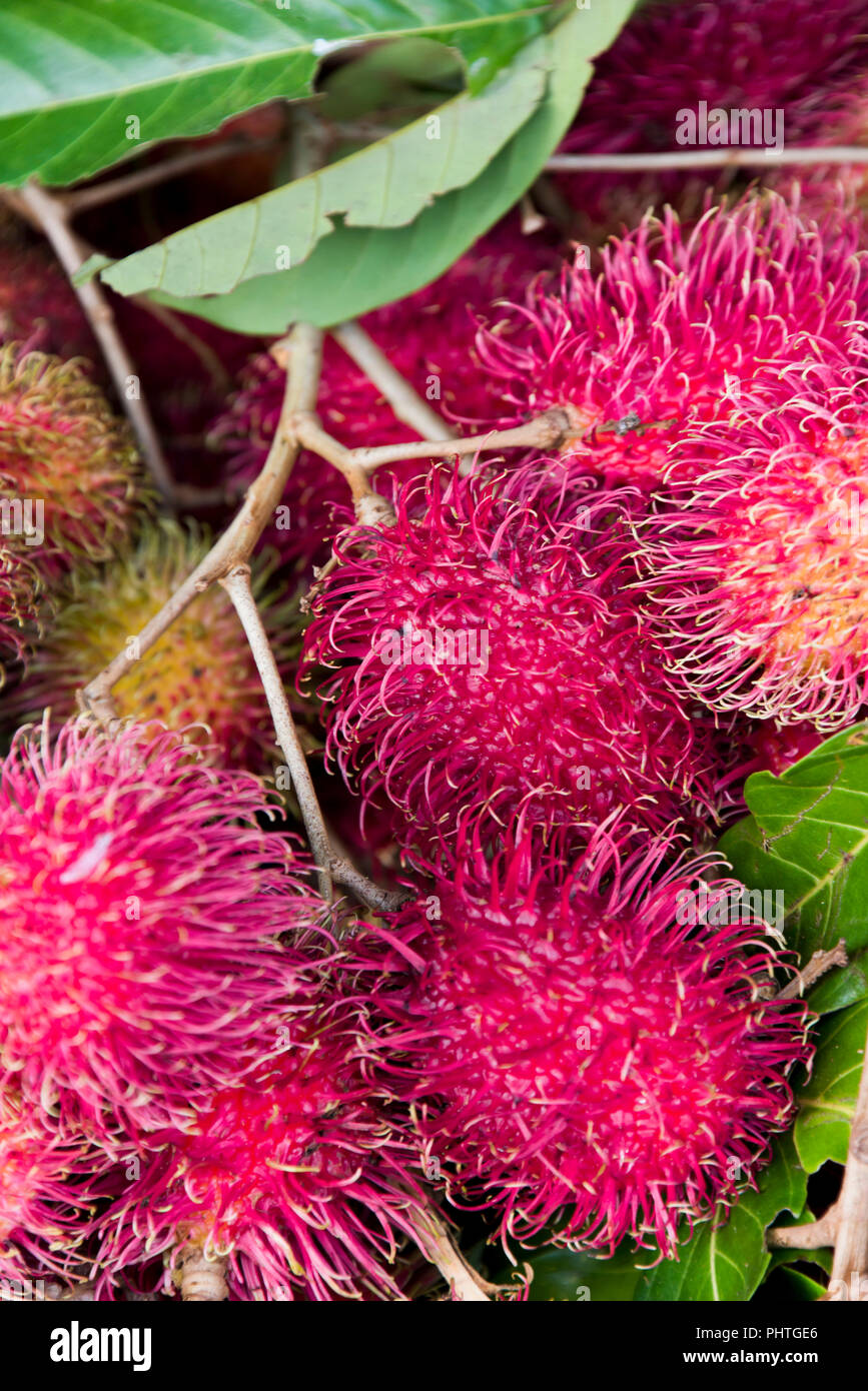 Vertical close up of rambutans. Stock Photo