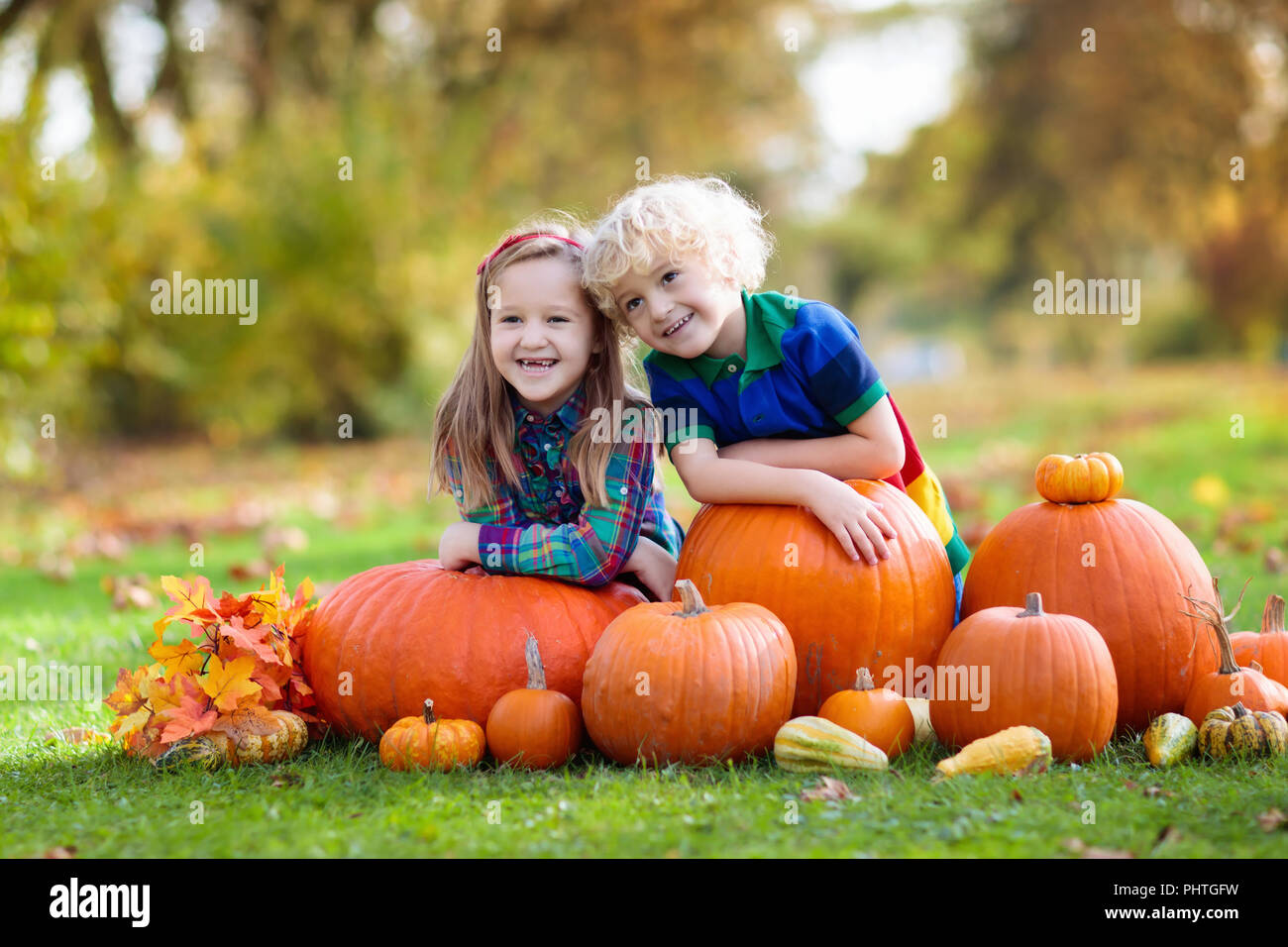 Group of little children enjoying harvest festival celebration at pumpkin patch. Kids picking and carving pumpkins at country farm on warm autumn day. Stock Photo