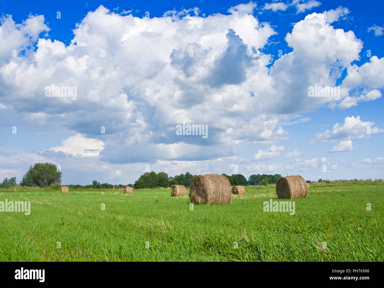 Field with straw bales after harvest on a background cloudy sky Stock ...