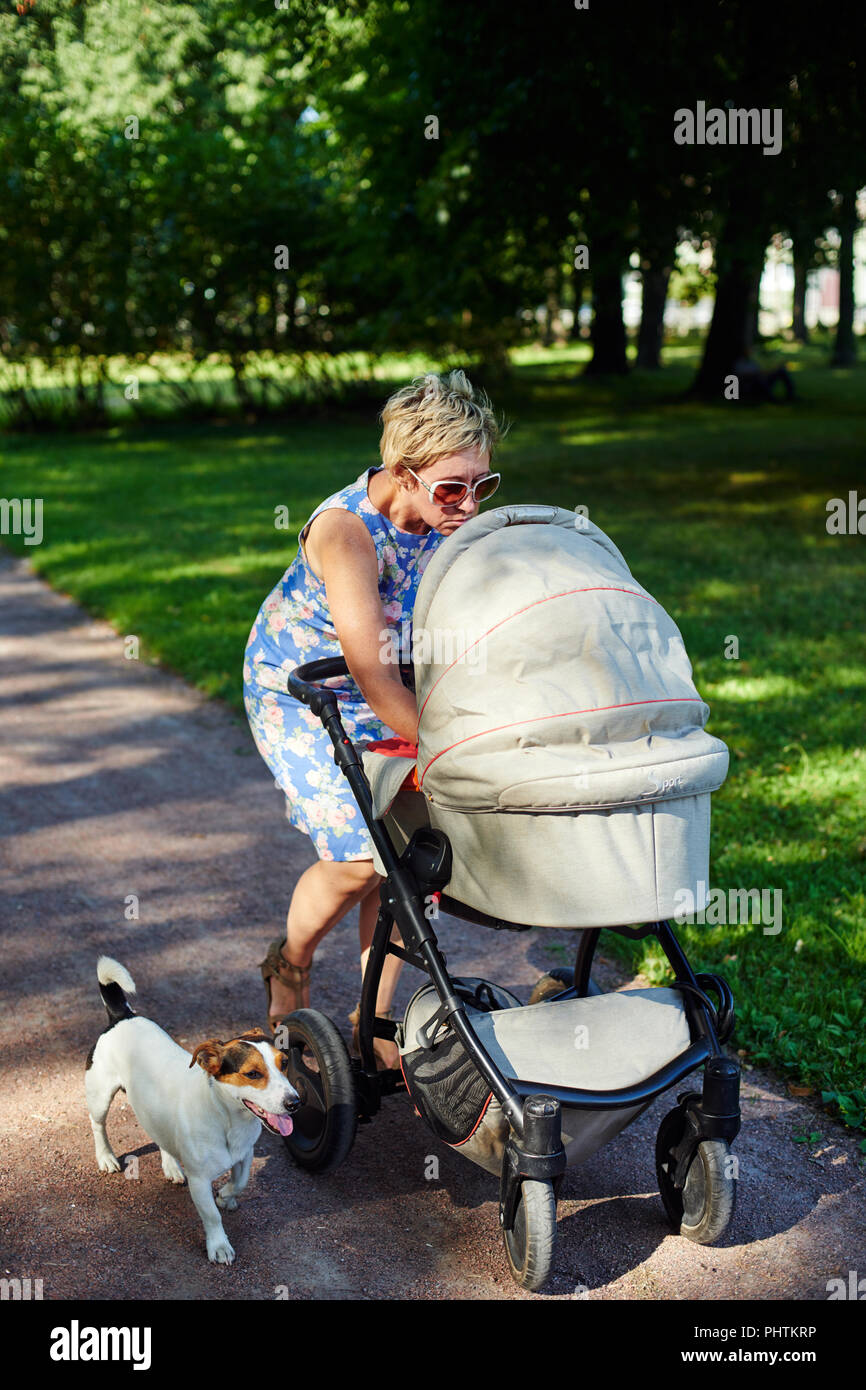 dog and baby stroller