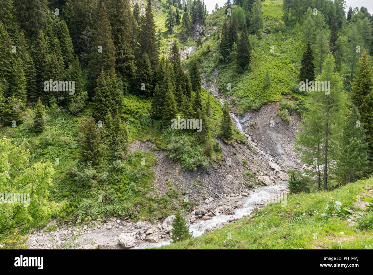 Riedingtal Zederhaus Nature Park with mountain views, Austria Stock Photo -  Alamy