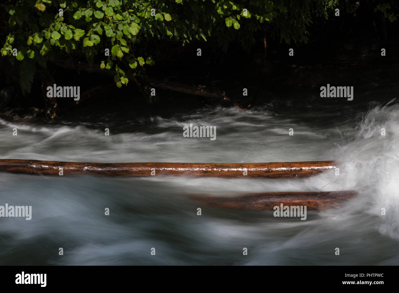 Tree logs in a river, Gorge in Austria, Talbachklamm, Schladming, Untertal, Austria Stock Photo