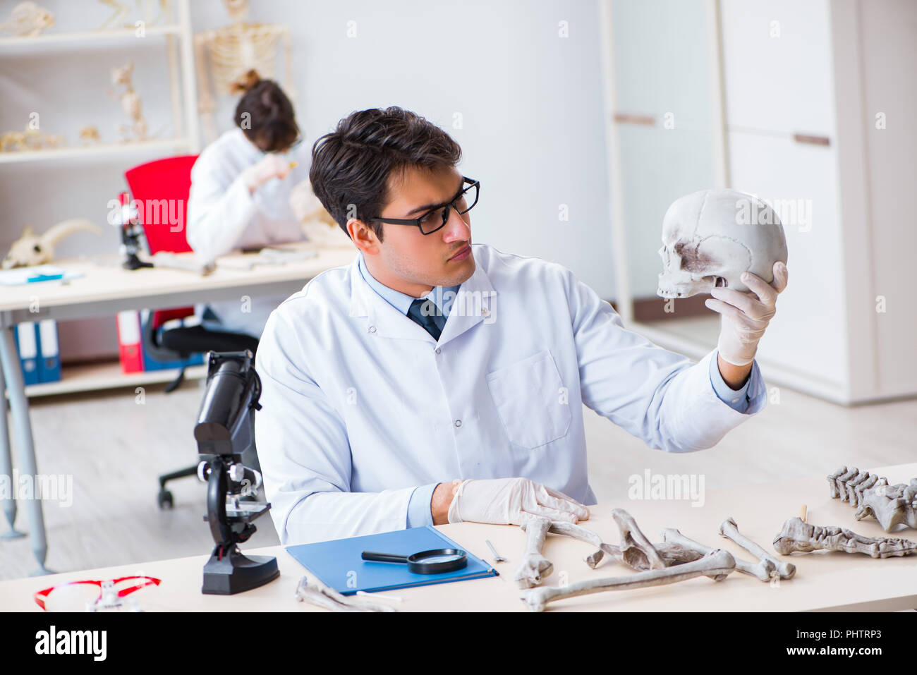 Professor studying human skeleton in lab Stock Photo - Alamy