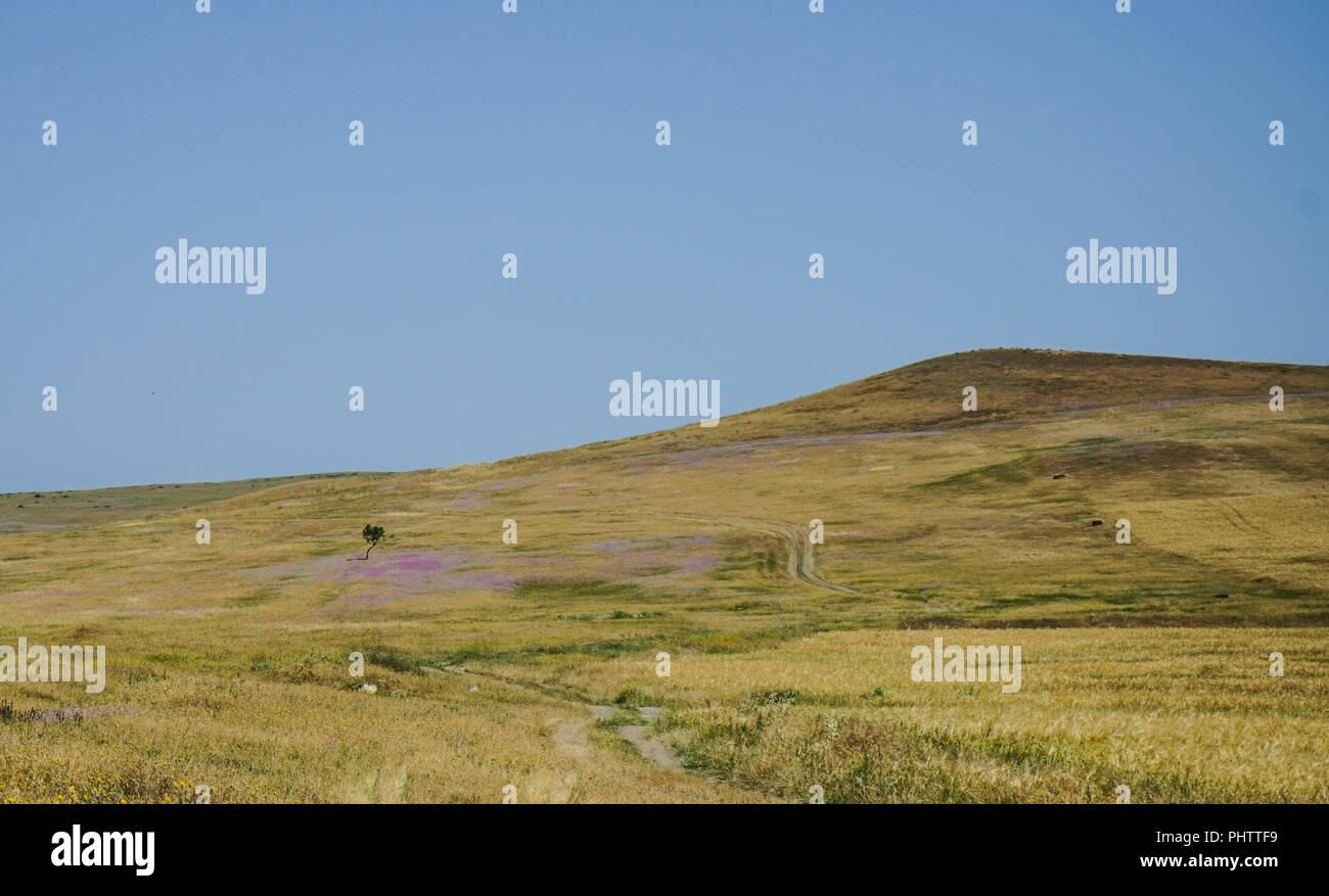 George Rurual Scene Georgia camp hi-res stock photography and images - Alamy