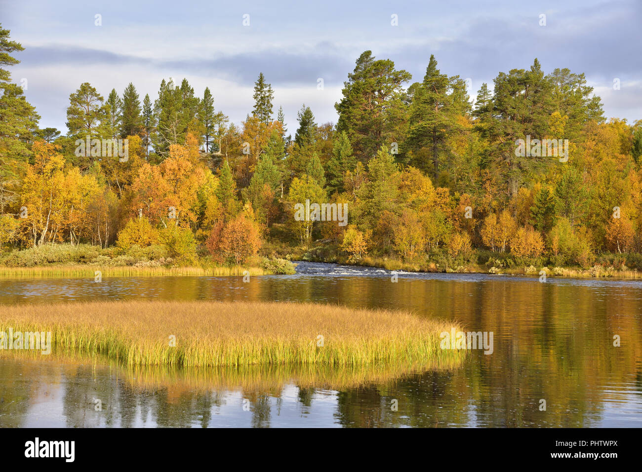 Nature reserve rogen in sweden Stock Photo