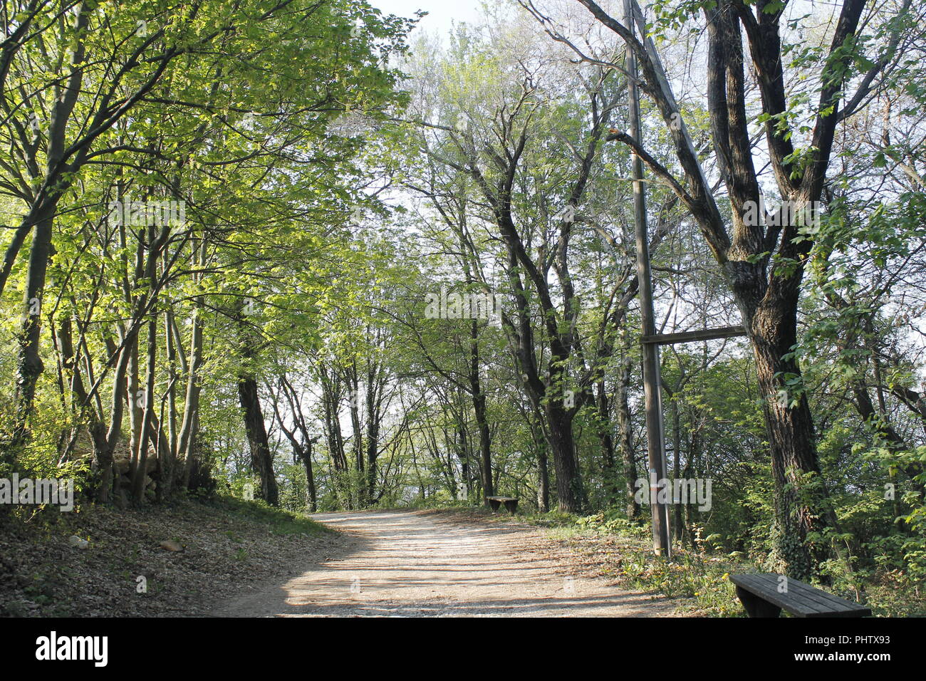 mountain path in the woods mountain path in the woods Stock Photo - Alamy