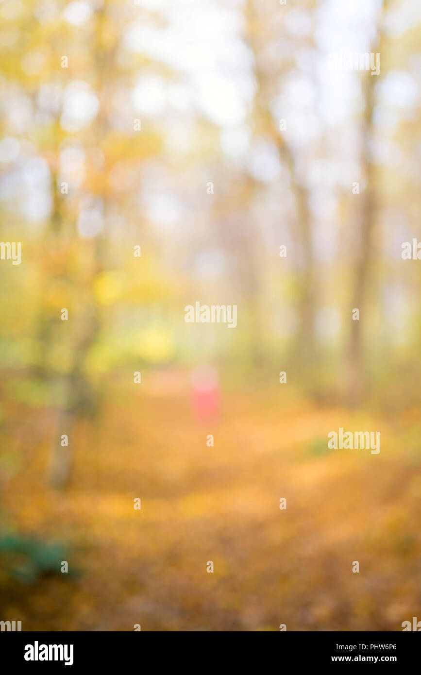 Abstract unfocused and soft background for design. Path in the woods. Magical autumn forest, blur technique Stock Photo