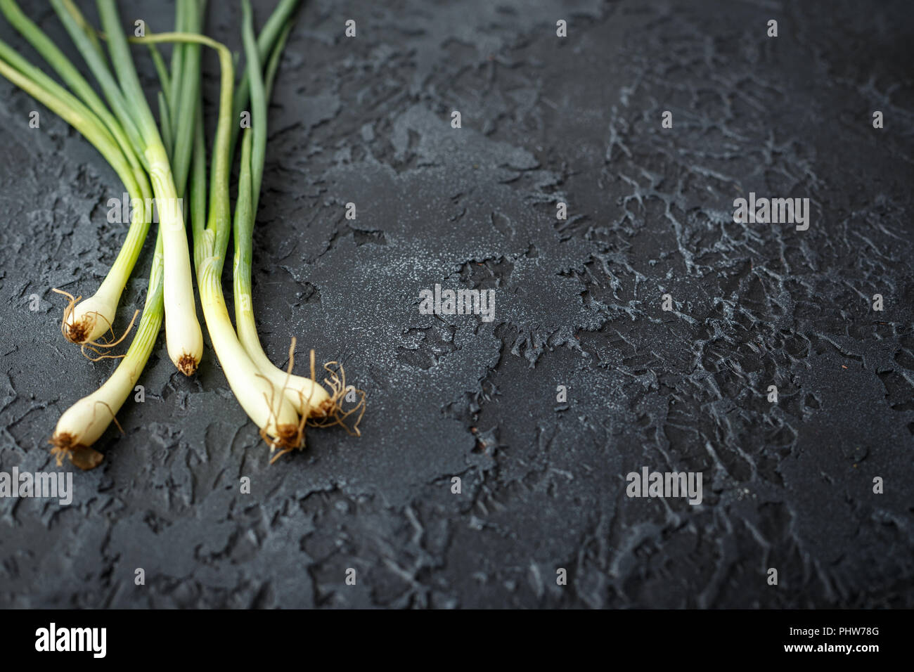 Spring green onions Stock Photo