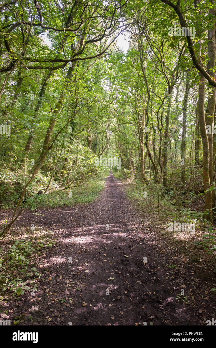 Disused railway, Creigiau, South Wales Stock Photo