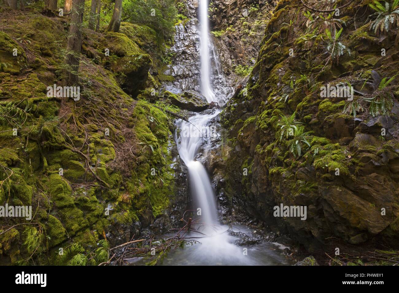 Lush Rainforest Foliage and Beautiful Lupin Falls in Strathcona Provincial Park on Vancouver Island British Columbia Canada Stock Photo