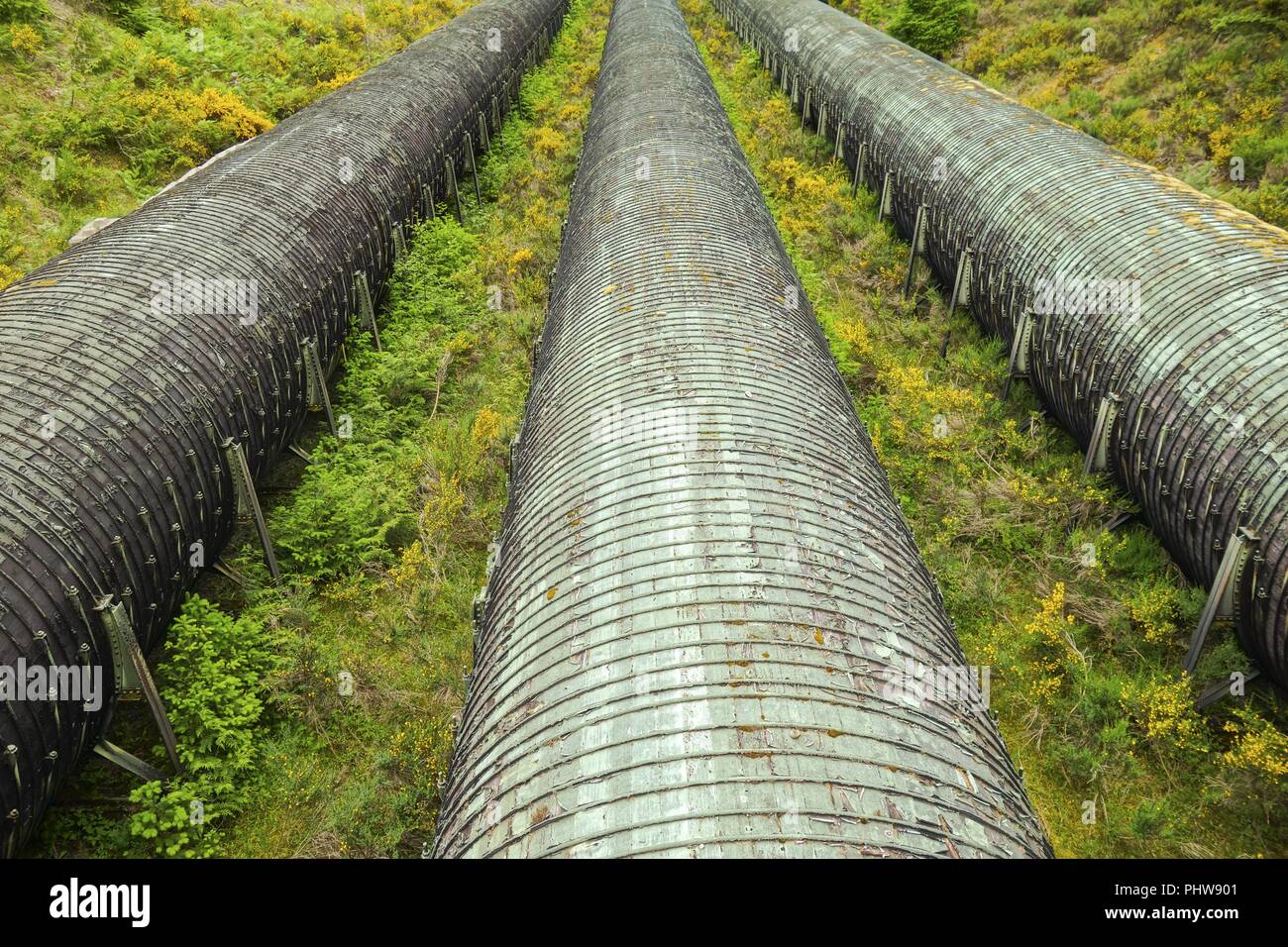 Wooden Penstock BC Hydro Water Intake Pipes at John Hart Power Generating Station in Elk Falls Provincial Park near Campbell River on Vancouver Island Stock Photo