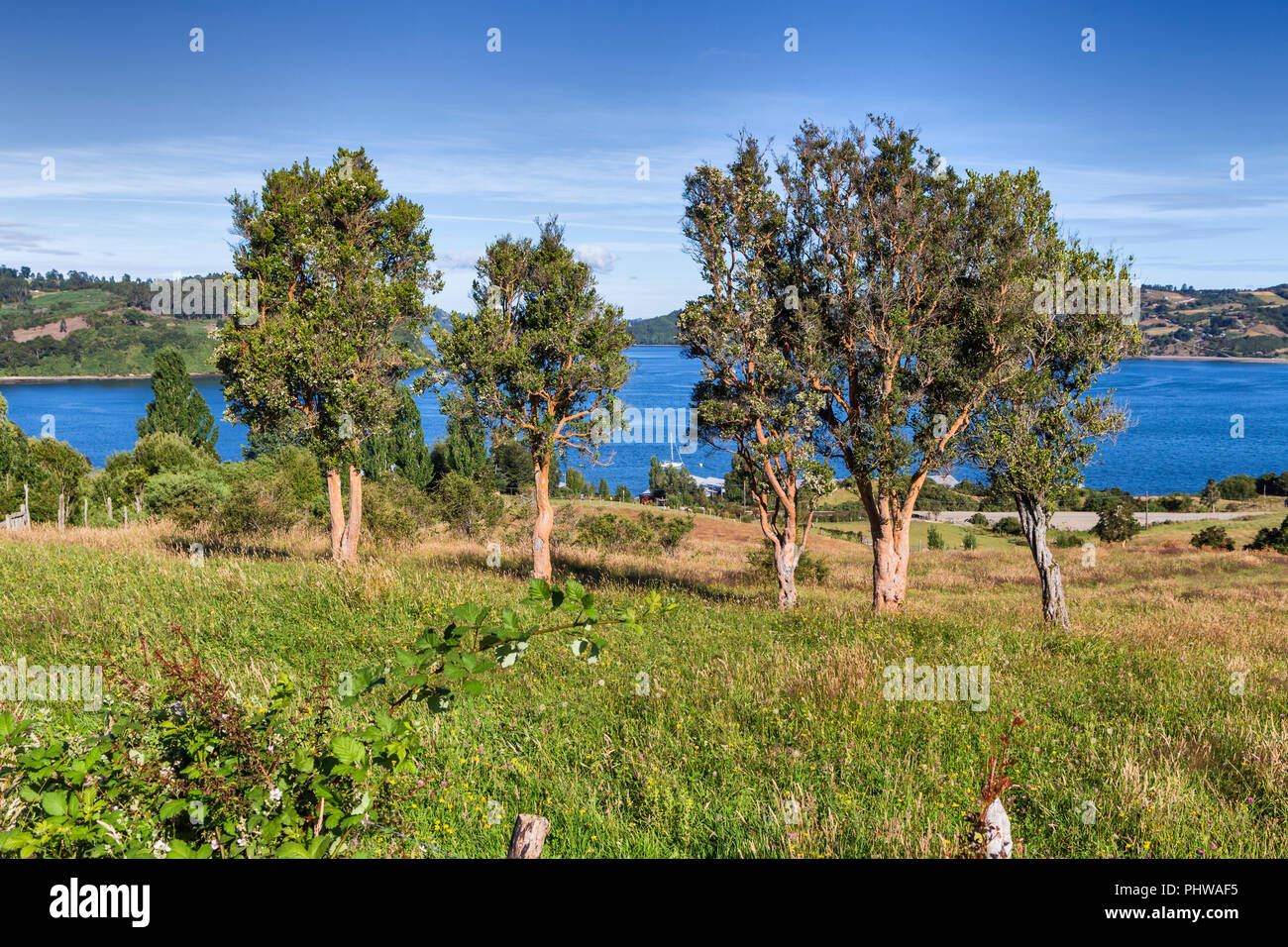 Sea of Chiloe coast, Quinchao, Chiloe island, Los Lagos region, Chile Stock Photo