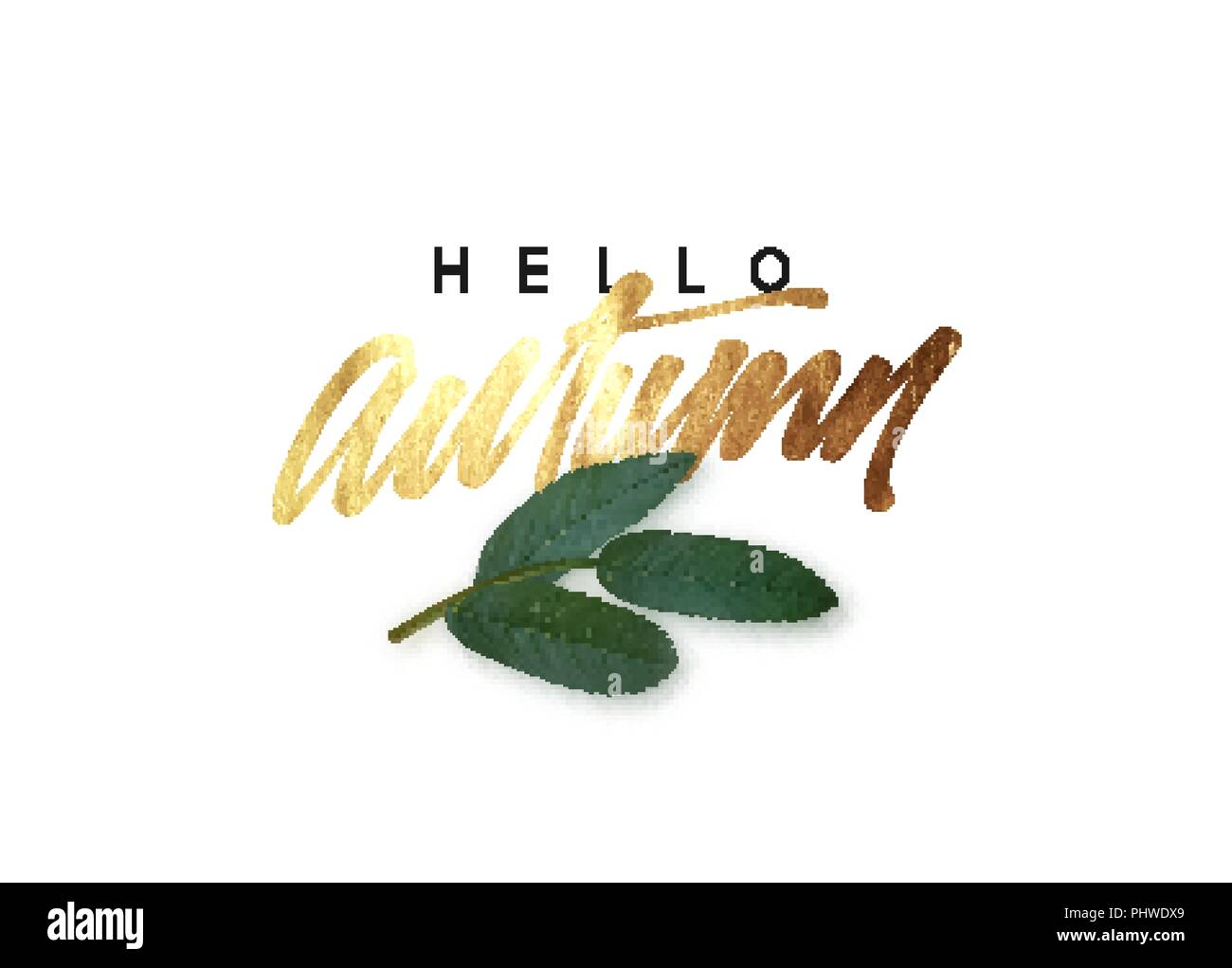 Hello Autumn, golden text handwritten calligraphy. Vector illustration ...