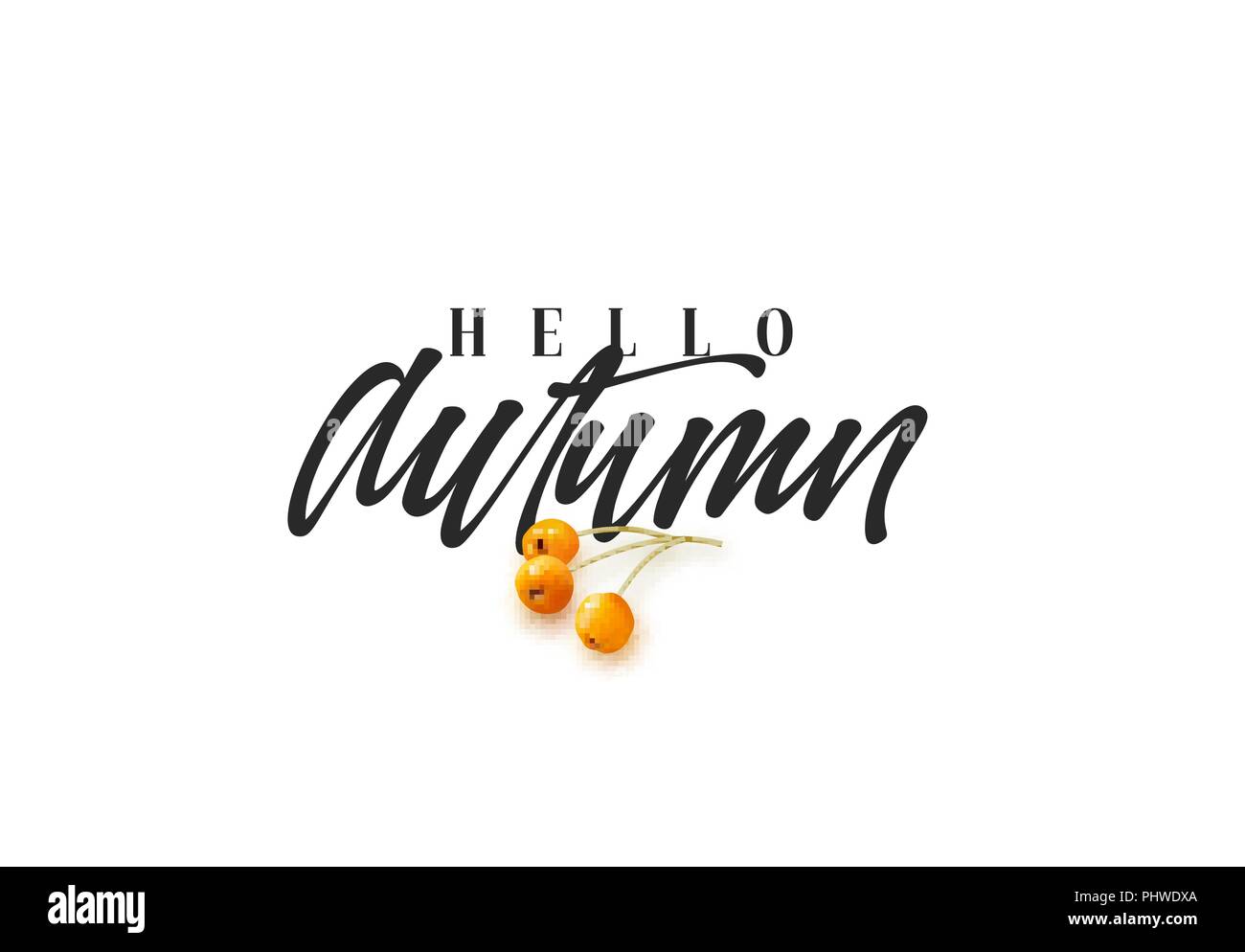 Hello Autumn, black text handwritten calligraphy. Vector illustration ...