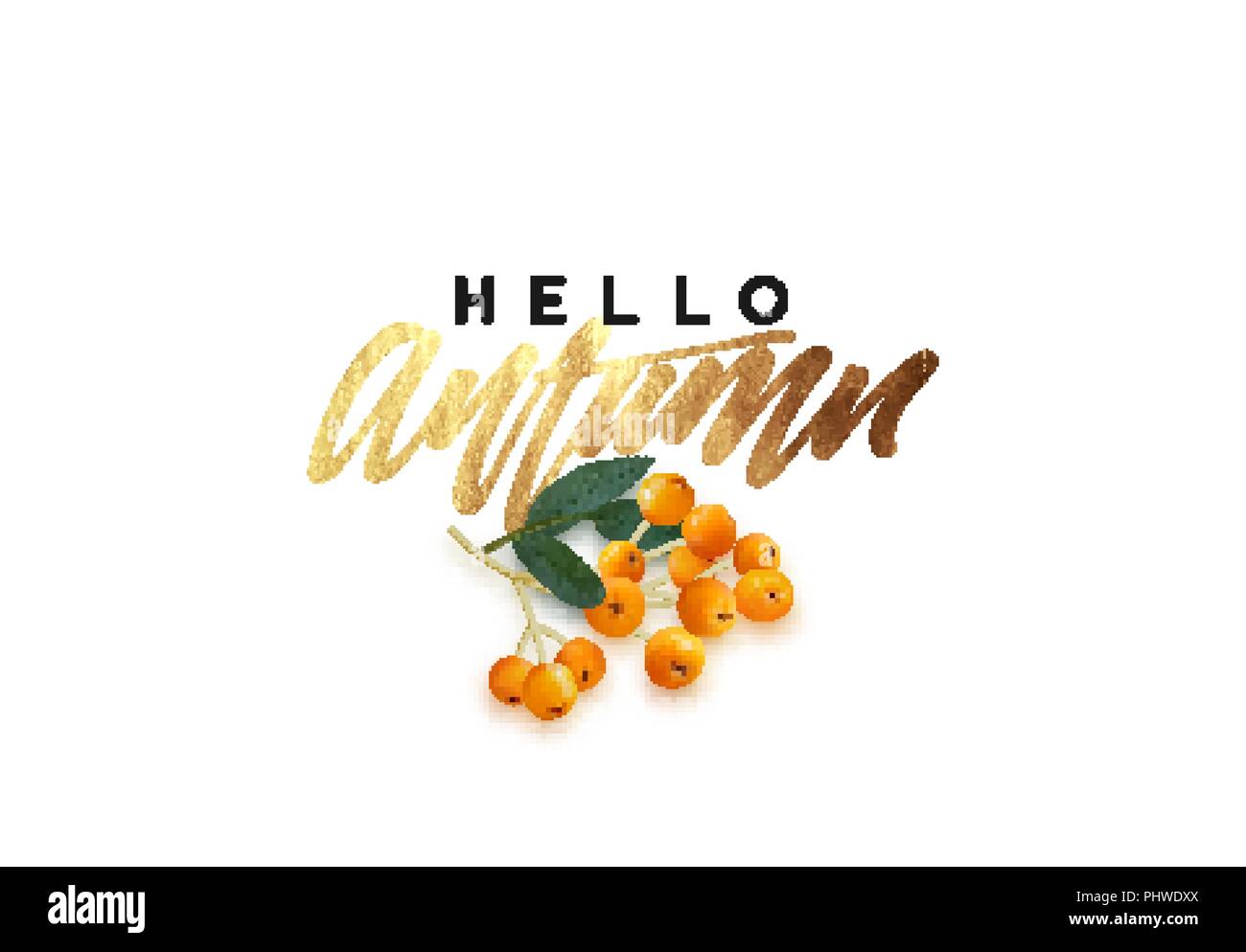 Hello Autumn, golden text handwritten calligraphy. Vector illustration ...