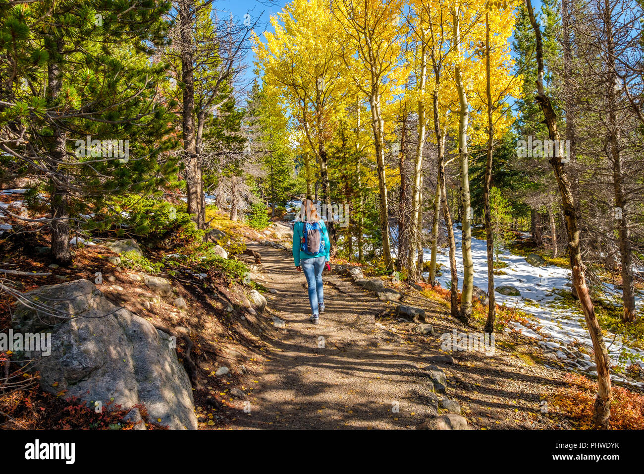 Hiking in aspen tree hi-res stock photography and images - Alamy