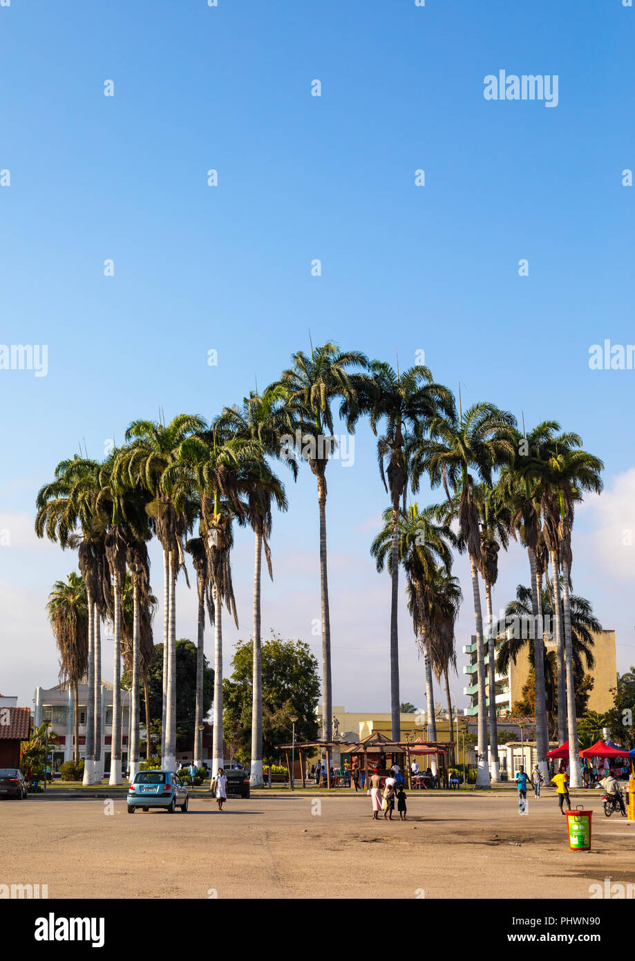 Palm trees on a square, Benguela Province, Benguela, Angola Stock Photo
