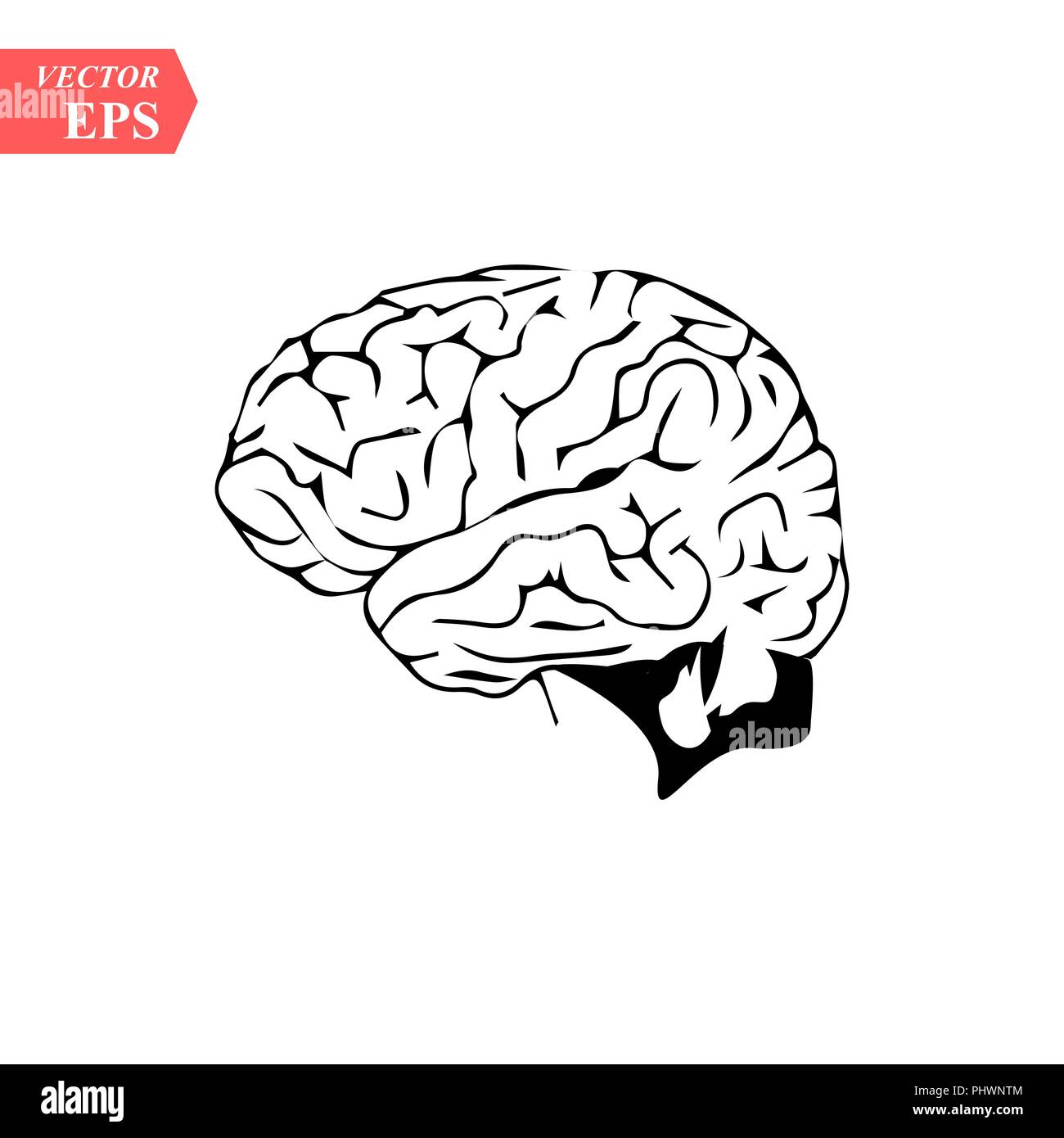 simple brain icon in head