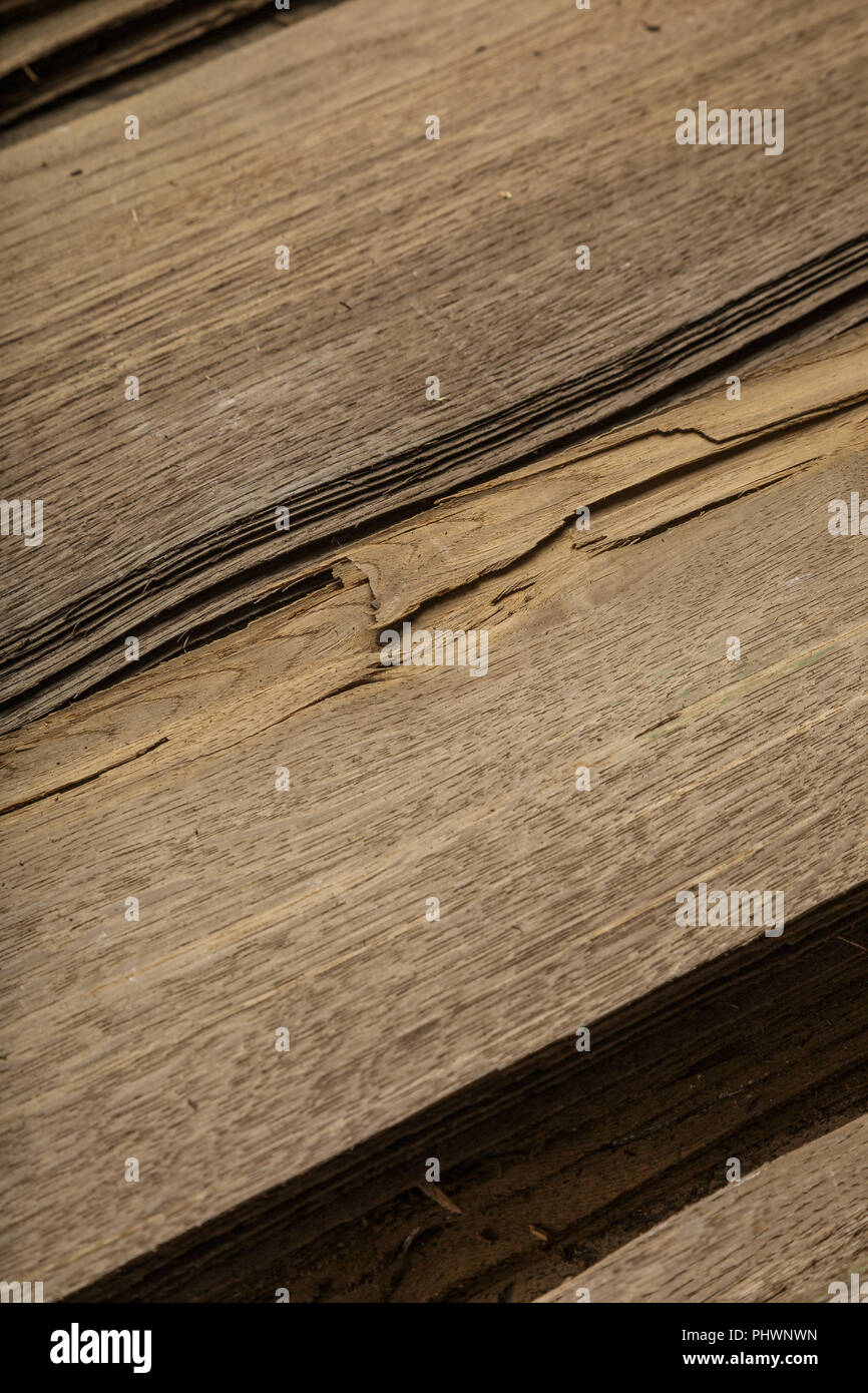 Veneer made from old oak, texture of wood Stock Photo Alamy