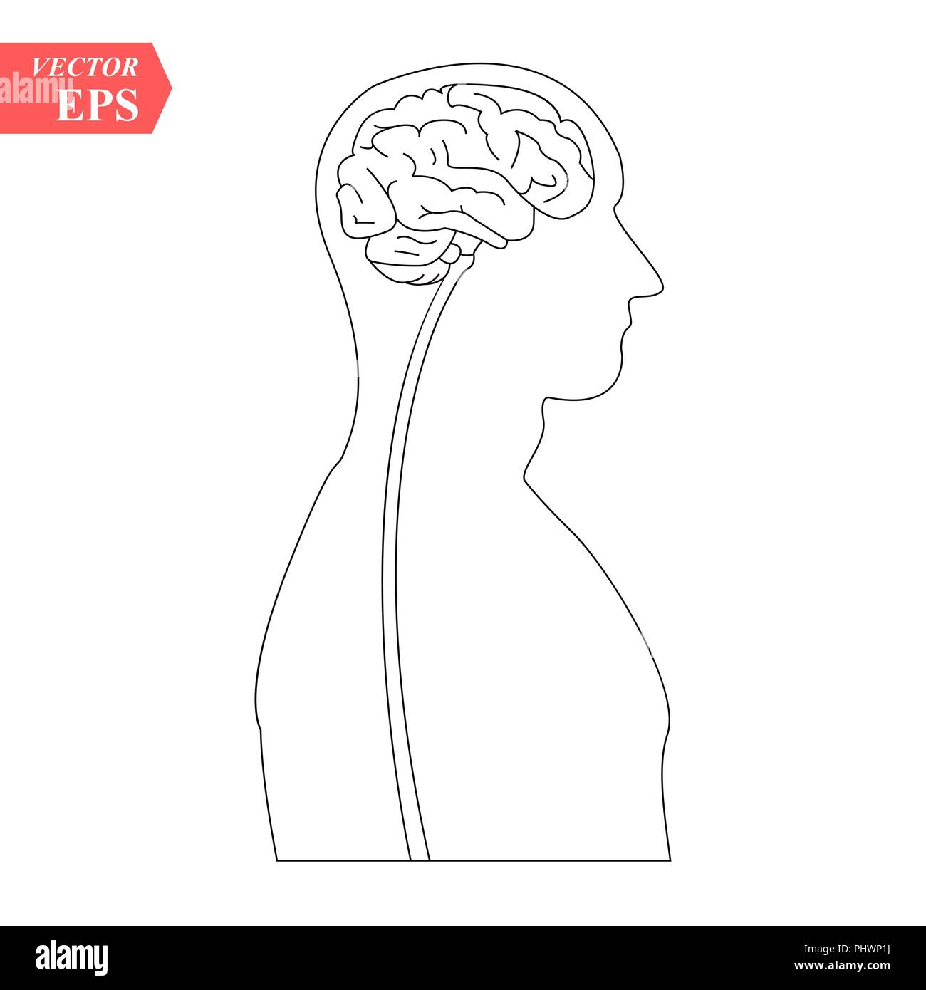Head with brain vector icon EPS10. Simple isolated silhouette symbol. Stock Vector
