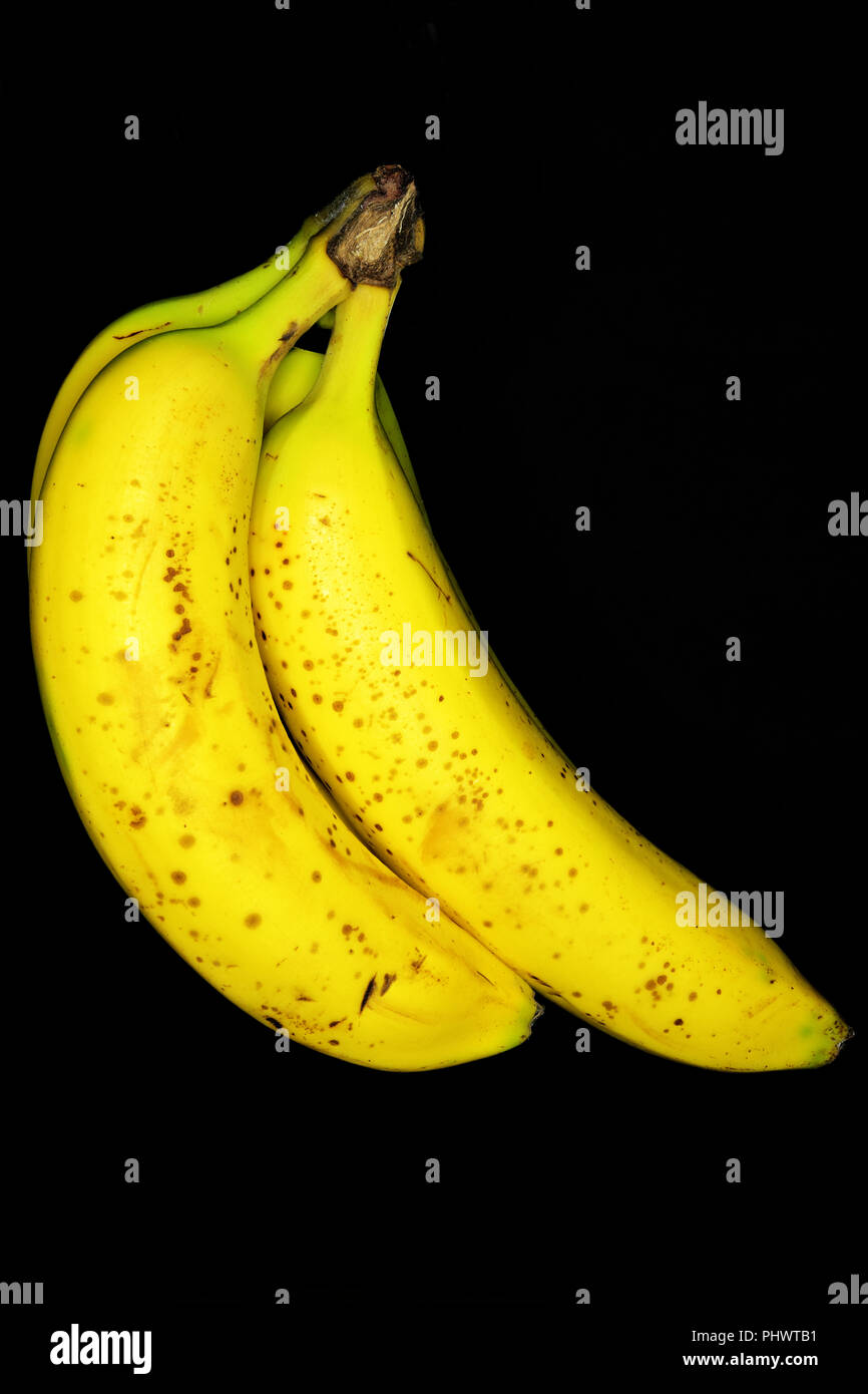 Four yellow green bananas against a black background Stock Photo