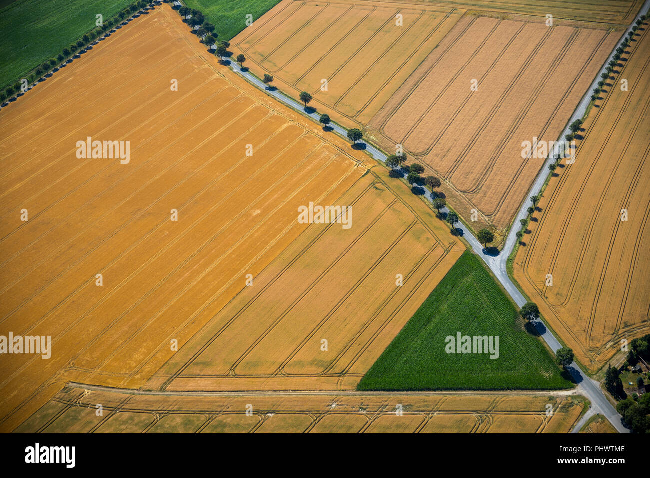 Fields and meadows, field paths, geometric forms, Alte Beckumer Straße, Im Schliek, Rosendahl, Ahlen, Ruhrgebiet, Nordrhein-Westfalen, Germany, DEU, E Stock Photo