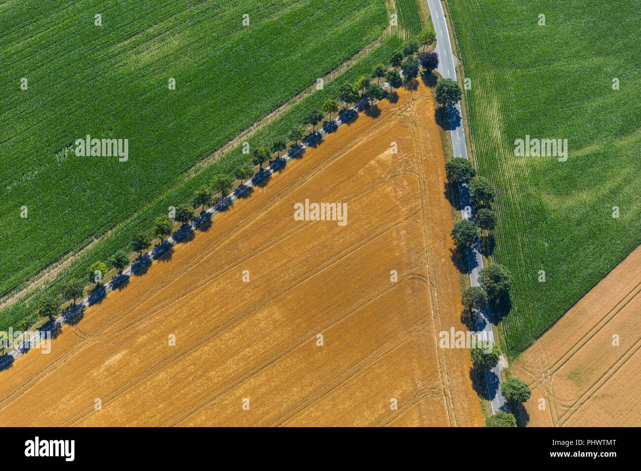 Fields and meadows, field paths, geometric forms, Alte Beckumer Straße, Im Schliek, Rosendahl, Ahlen, Ruhrgebiet, Nordrhein-Westfalen, Germany, DEU, E Stock Photo