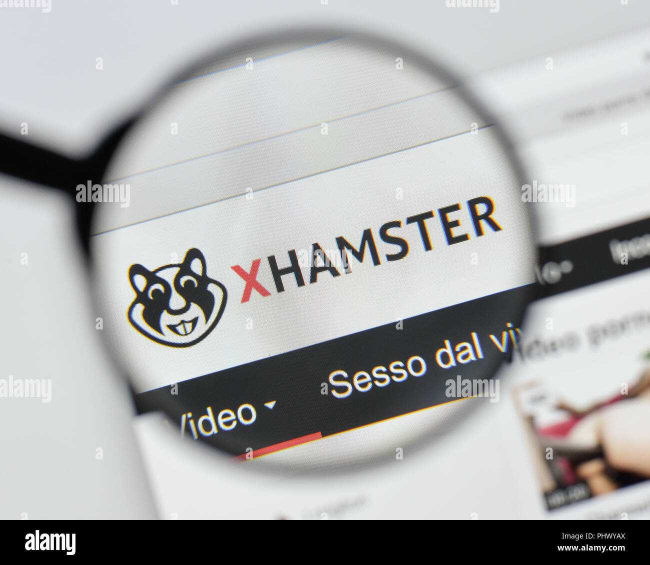 X hamster pictures