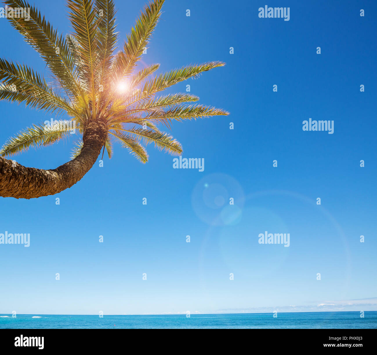 Hawaiian beach and surf hi-res stock photography and images - Alamy