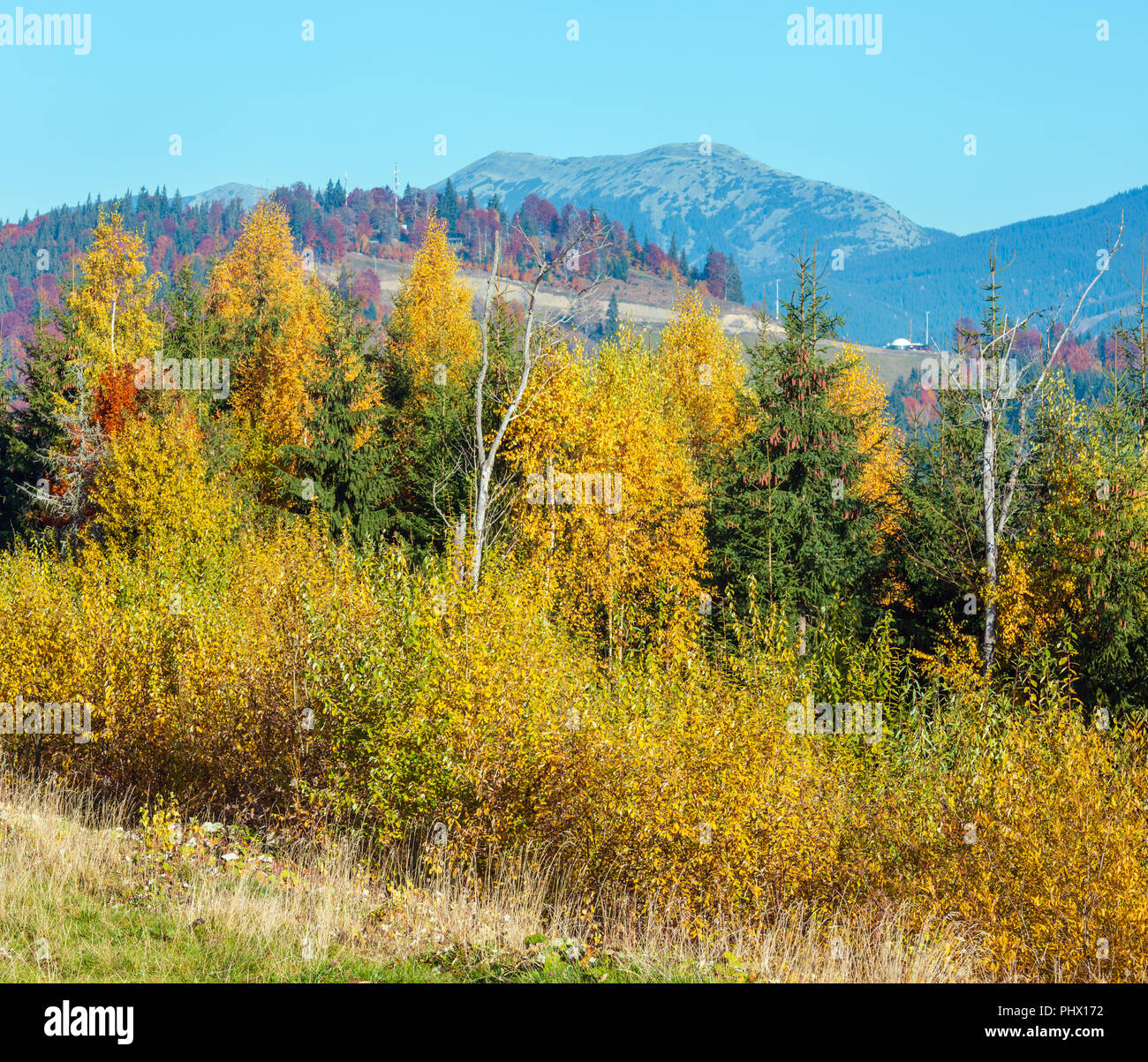 Morning autumn Carpathians landscape. Stock Photo
