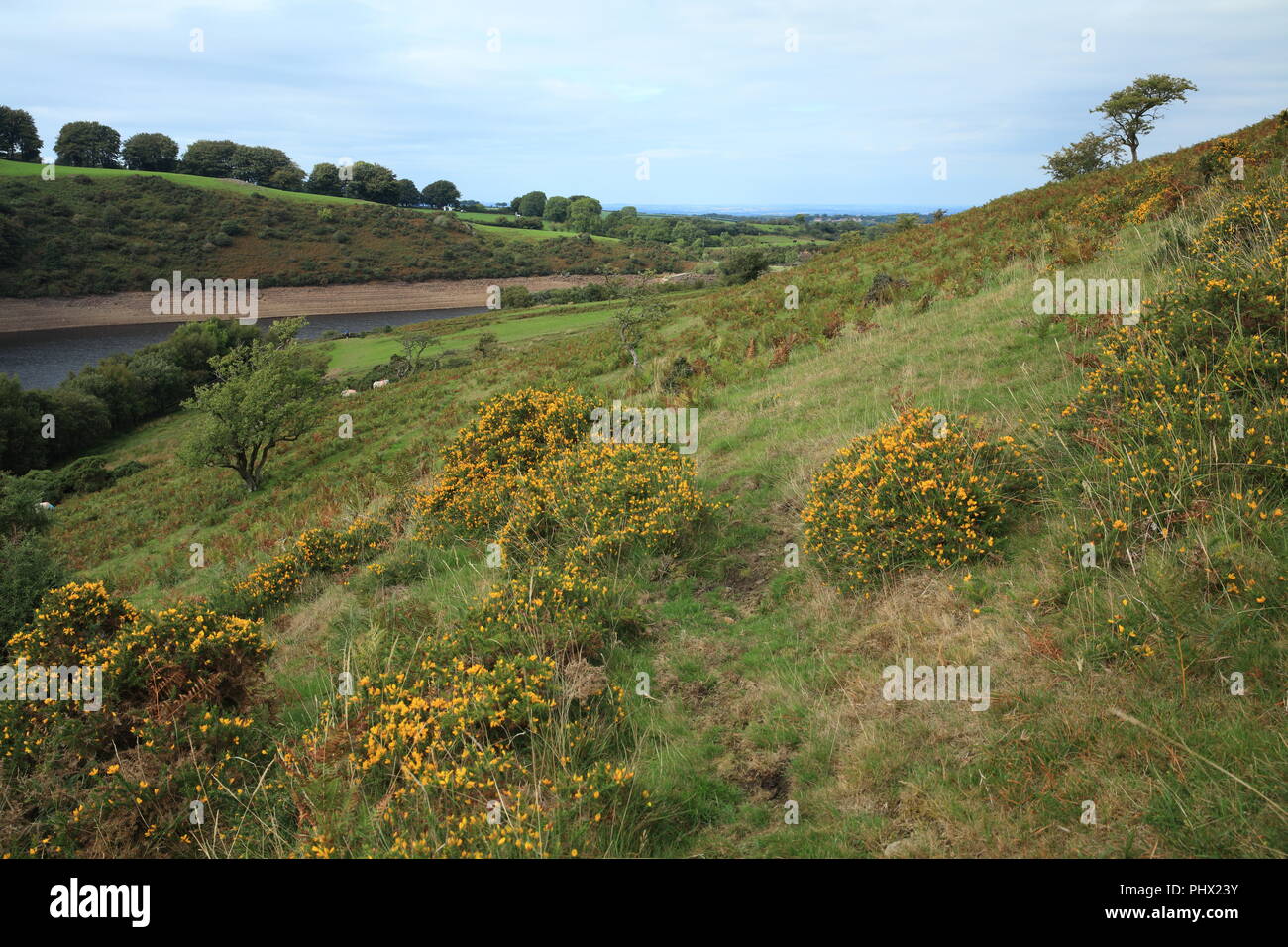 Meldon reservoir, Dartmoor National park, Devon, England, UK Stock Photo