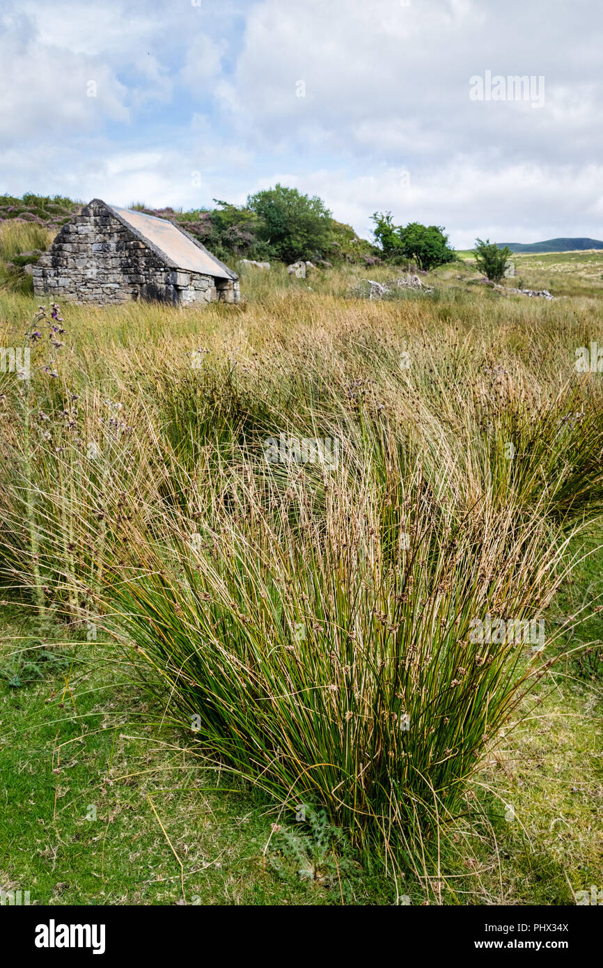 This is a picture of a small stone building in a feild in Ireland.  I believe is used to store food for sheep. Stock Photo