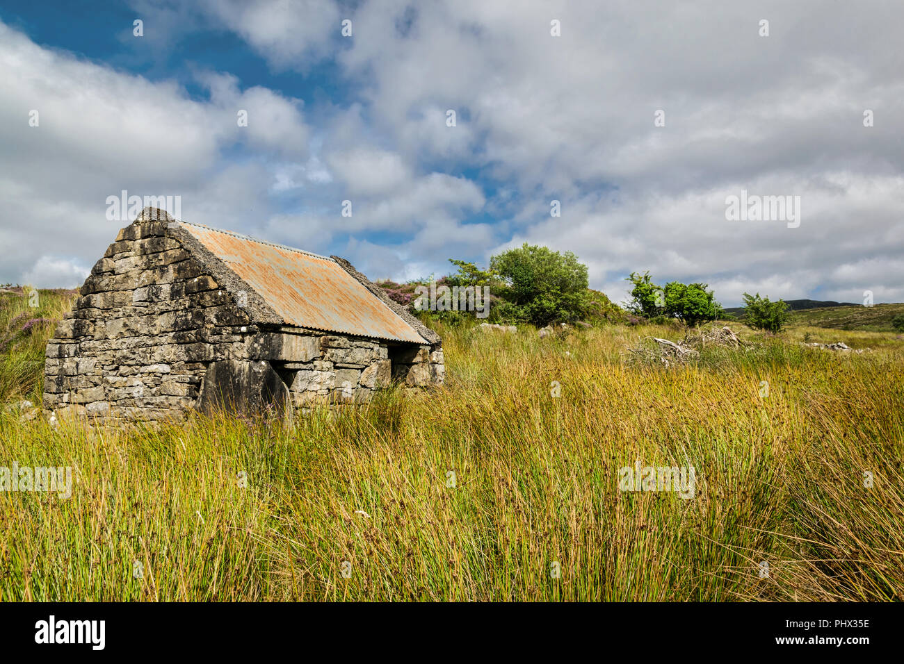 This is a picture of a small stone building in a field in Ireland.  I believe is used to store food for sheep. Stock Photo