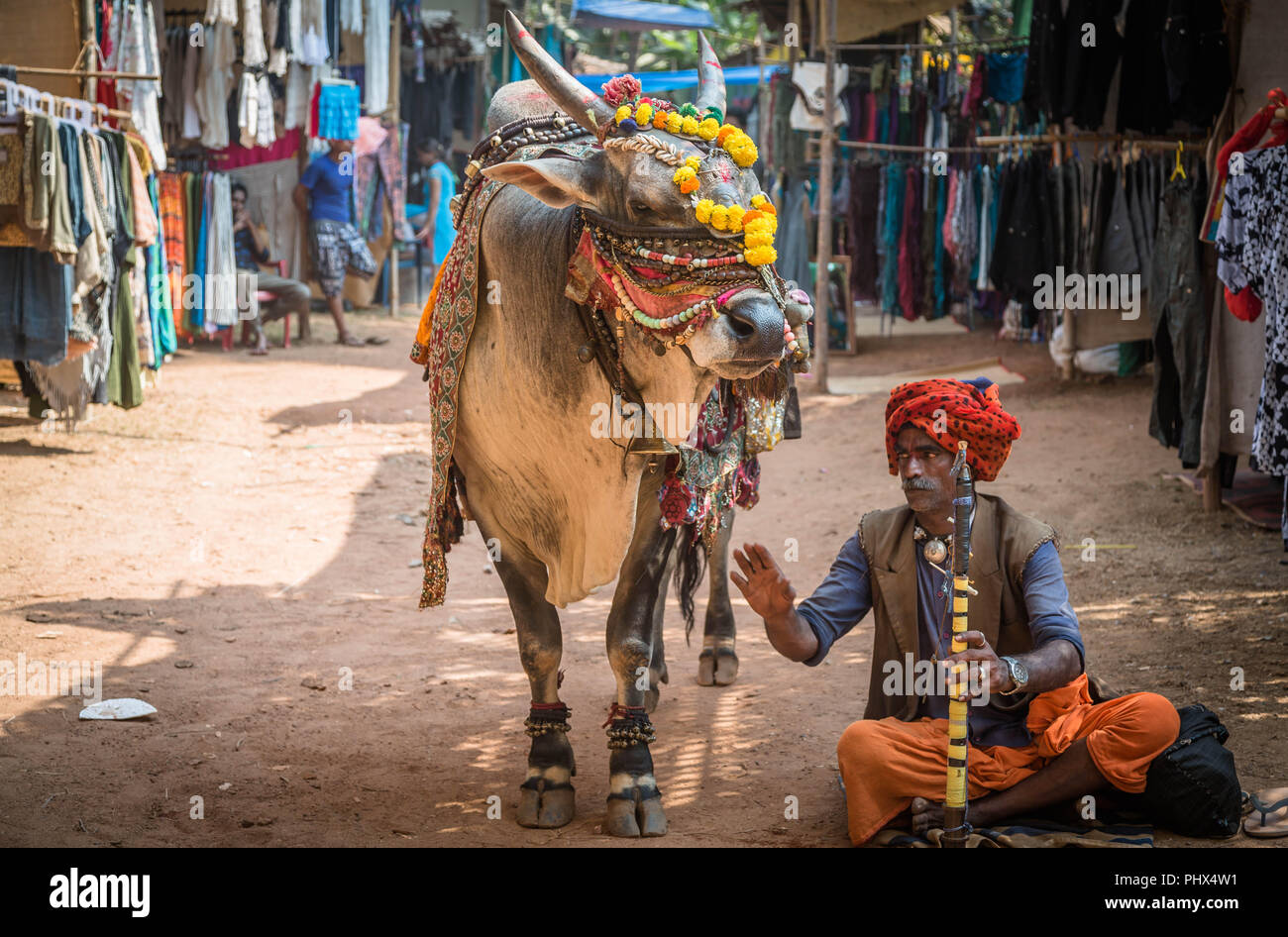 the flute player and his buffalo1 Stock Photo Alamy