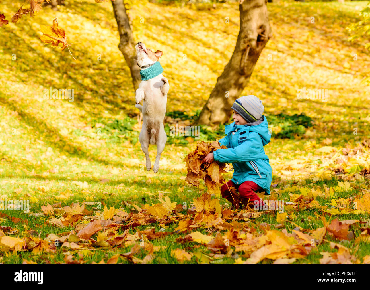Kid boy enjoying game with his pet dog and autumn fallen leaves Stock Photo