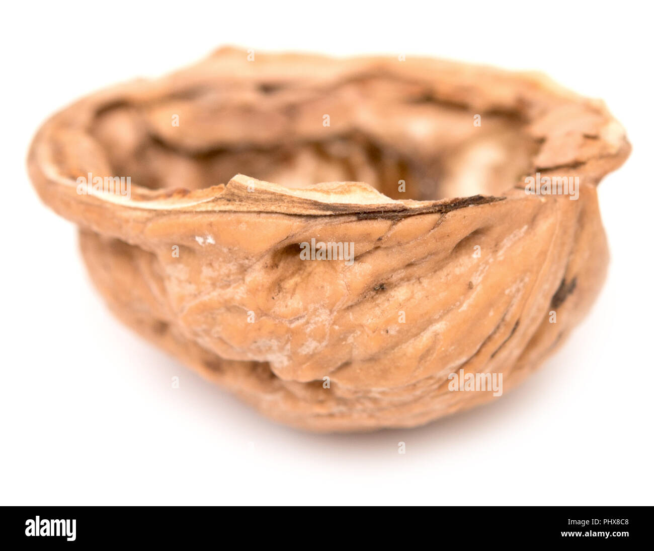 Walnut shell Stock Photo Alamy