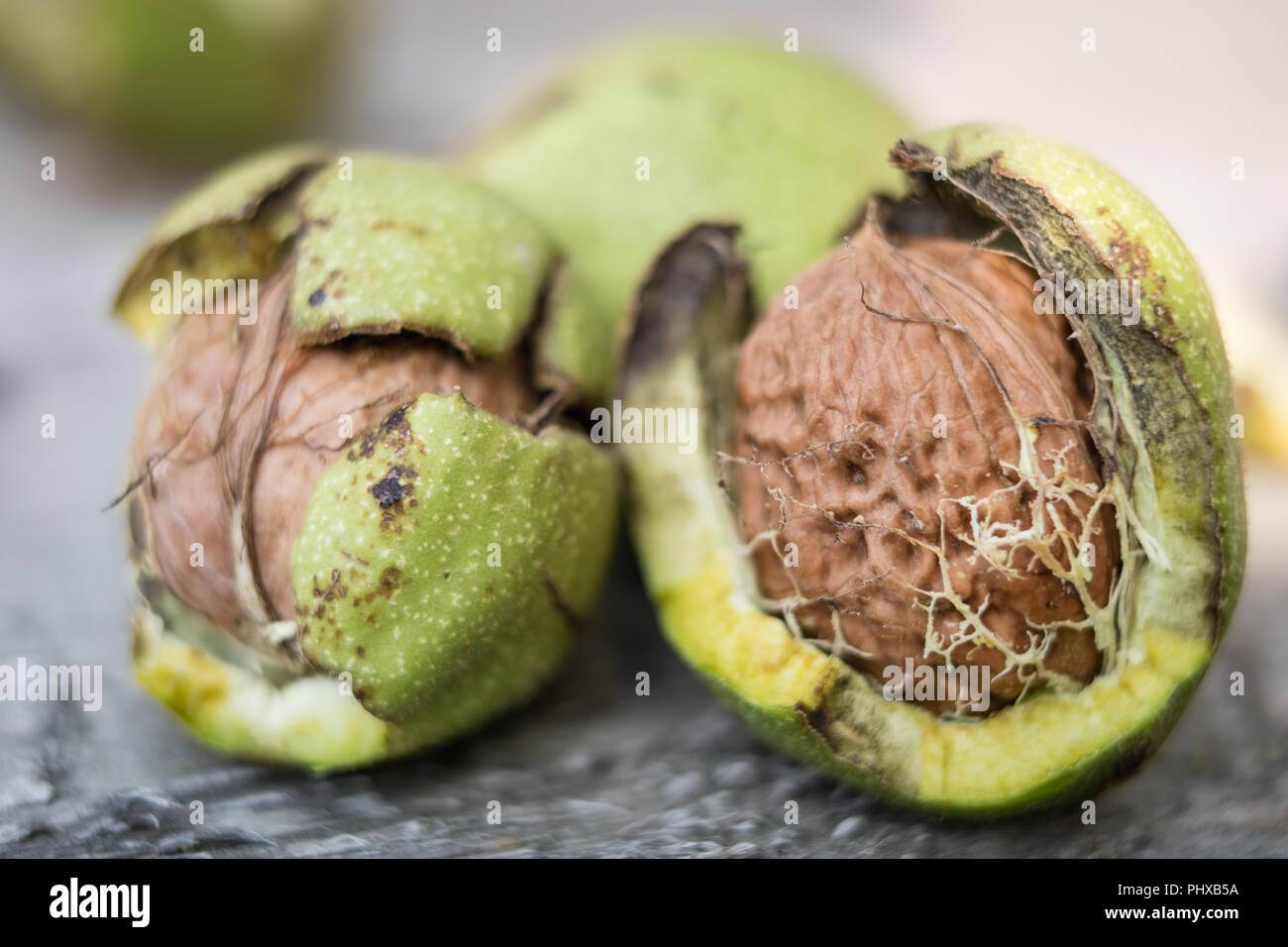 Ripening walnuts in shell. Fruit ready for harvesting on a wooden table. Season - autumn. Stock Photo