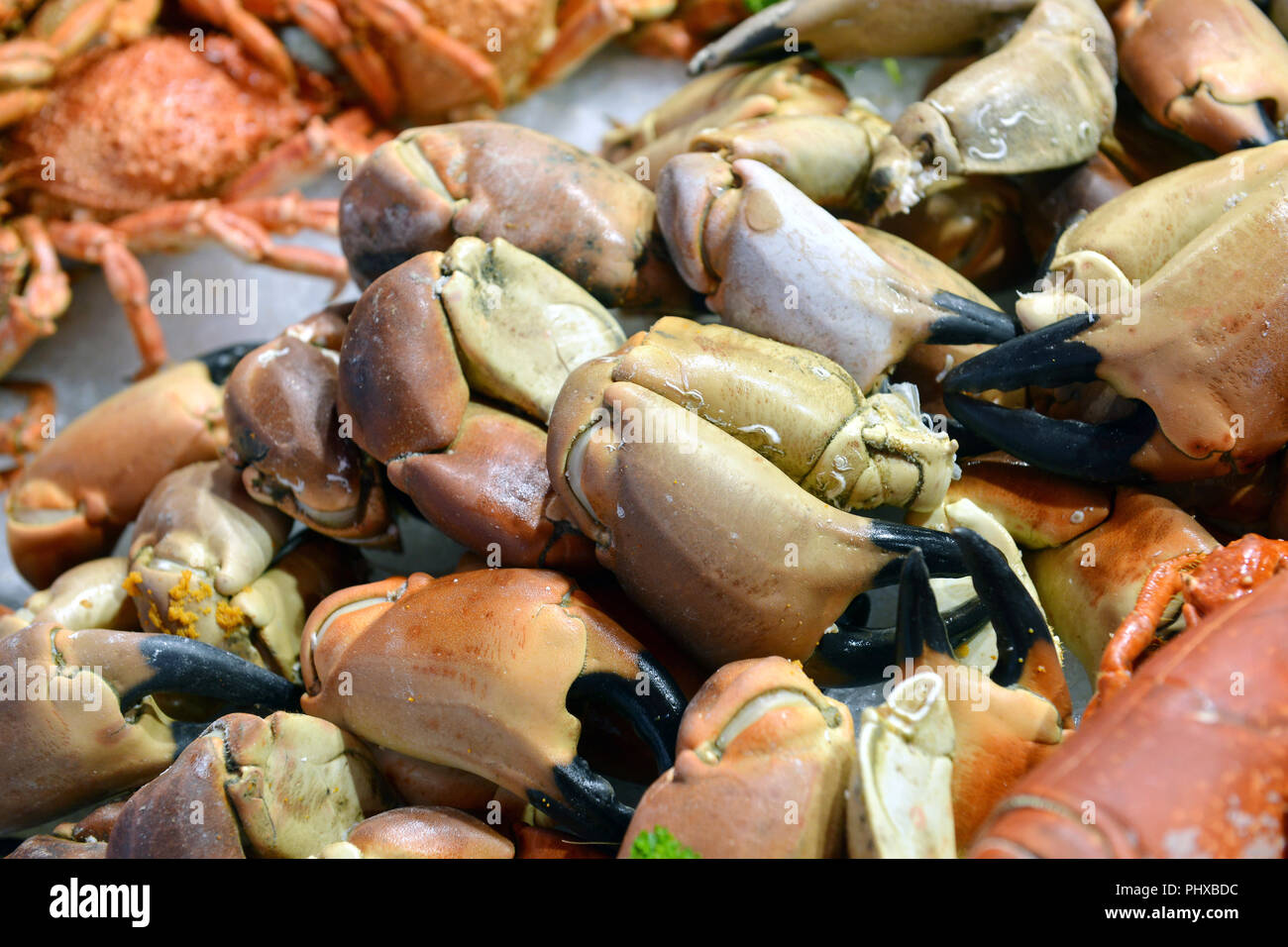 Crab claws in fish market hires stock photography and images Alamy