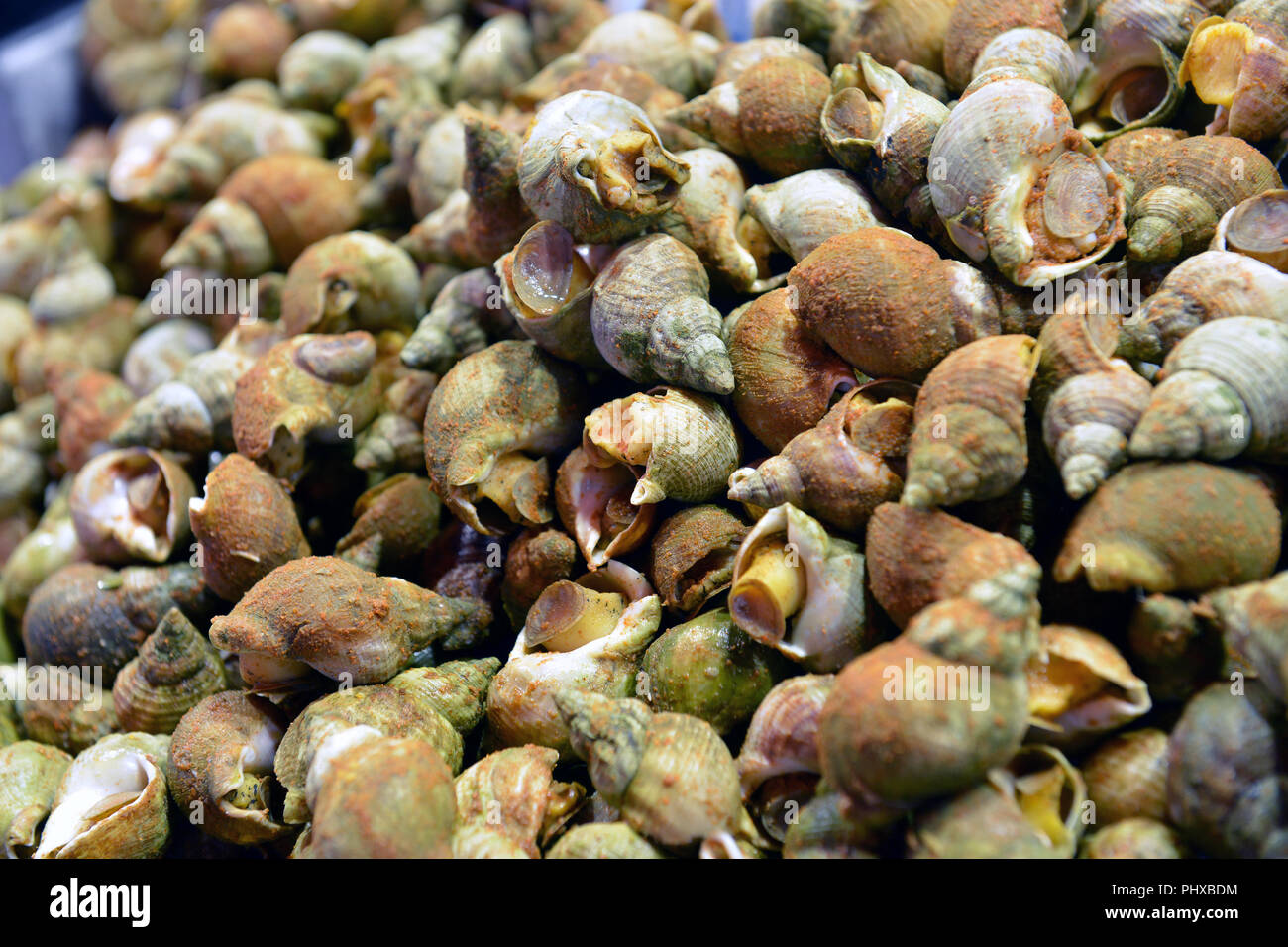 Sea snails on a market show-window Stock Photo