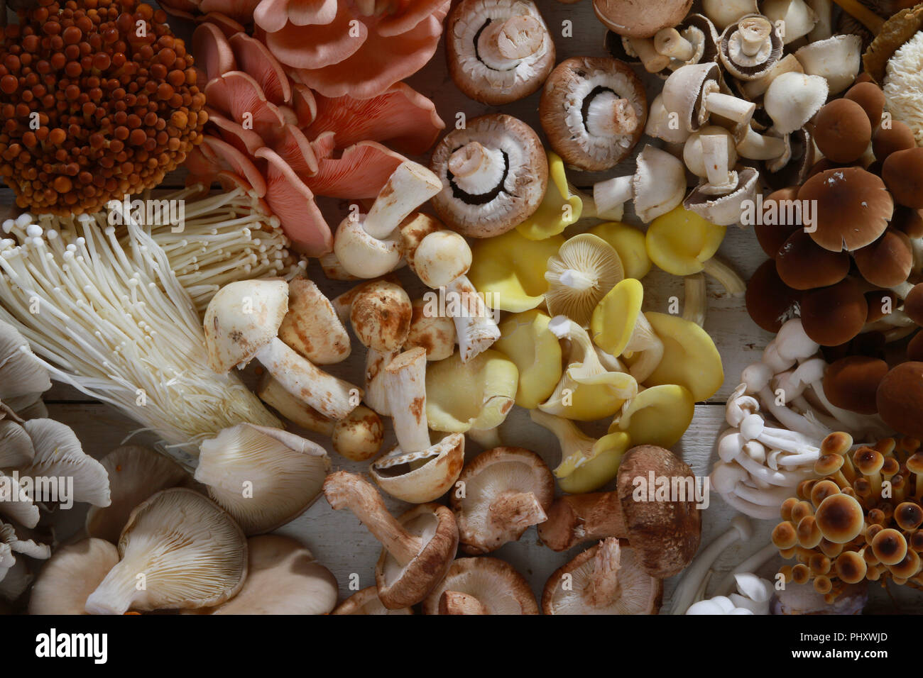 a selection of fresh uncooked exotic mushroom varieties Stock Photo Alamy