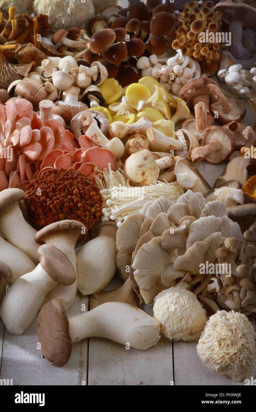 a selection of fresh uncooked exotic mushroom varieties Stock Photo Alamy