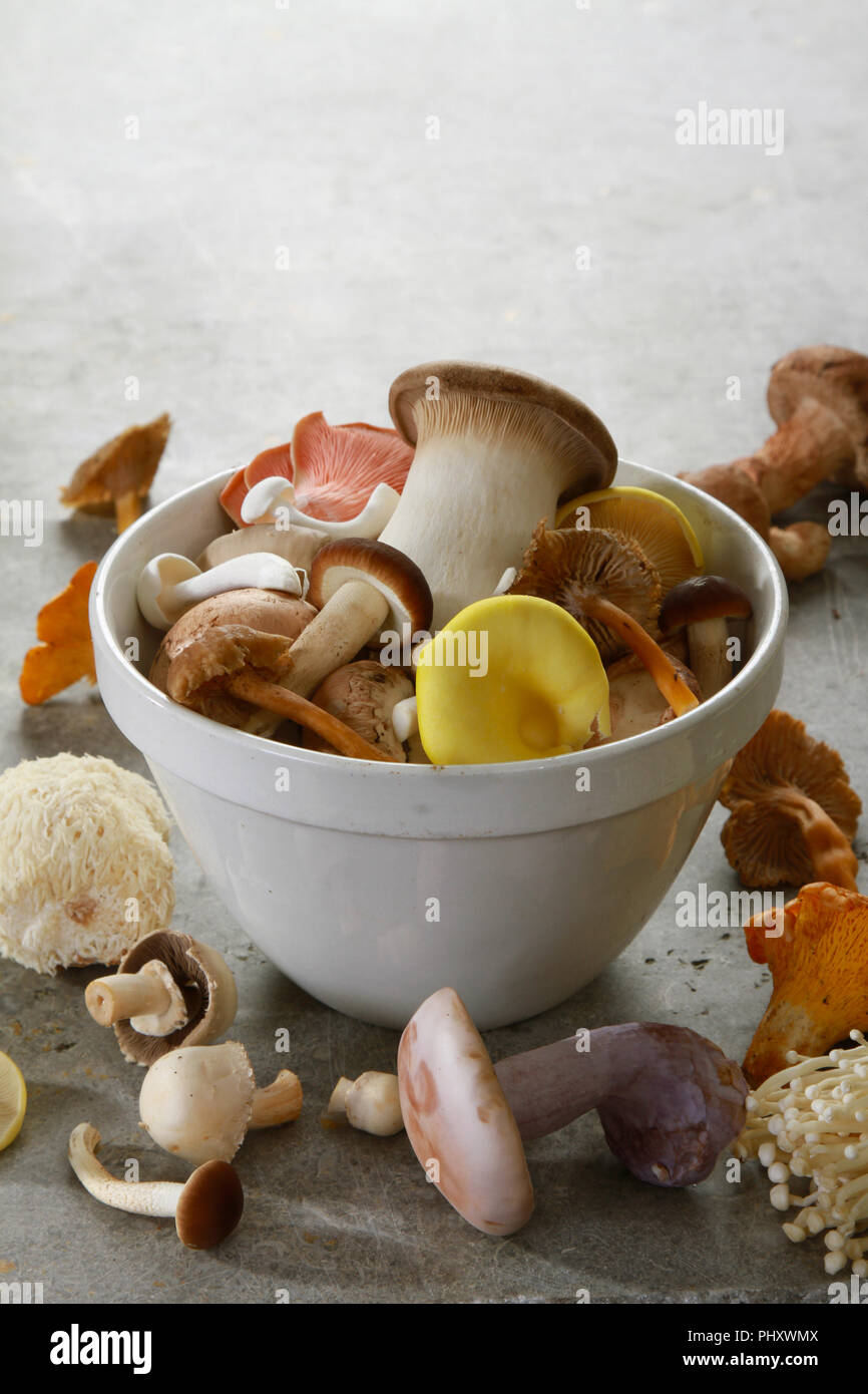 a selection of fresh uncooked exotic mushroom varieties Stock Photo Alamy