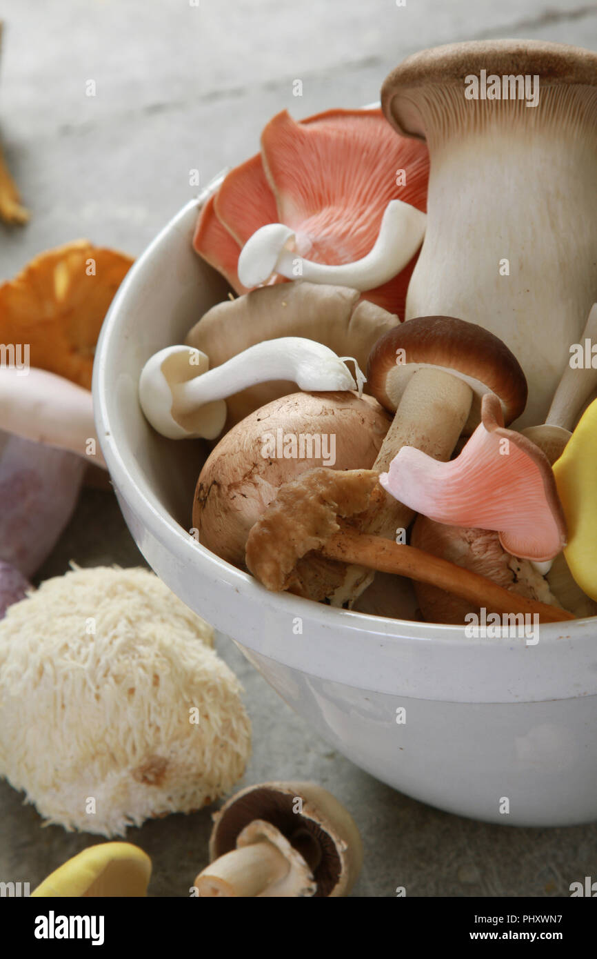 a selection of fresh uncooked exotic mushroom varieties Stock Photo Alamy