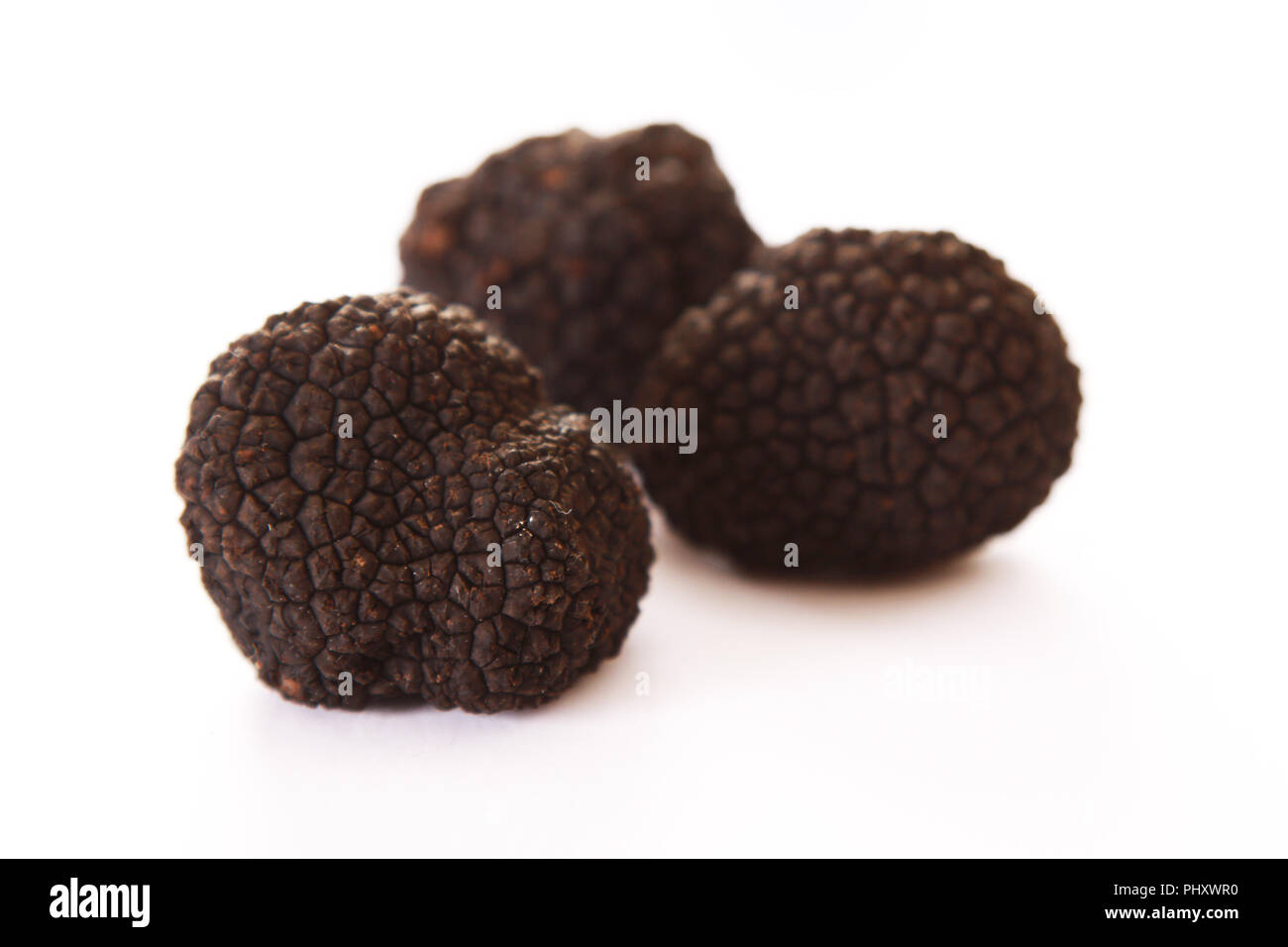 preparing fresh black ground truffles Stock Photo Alamy